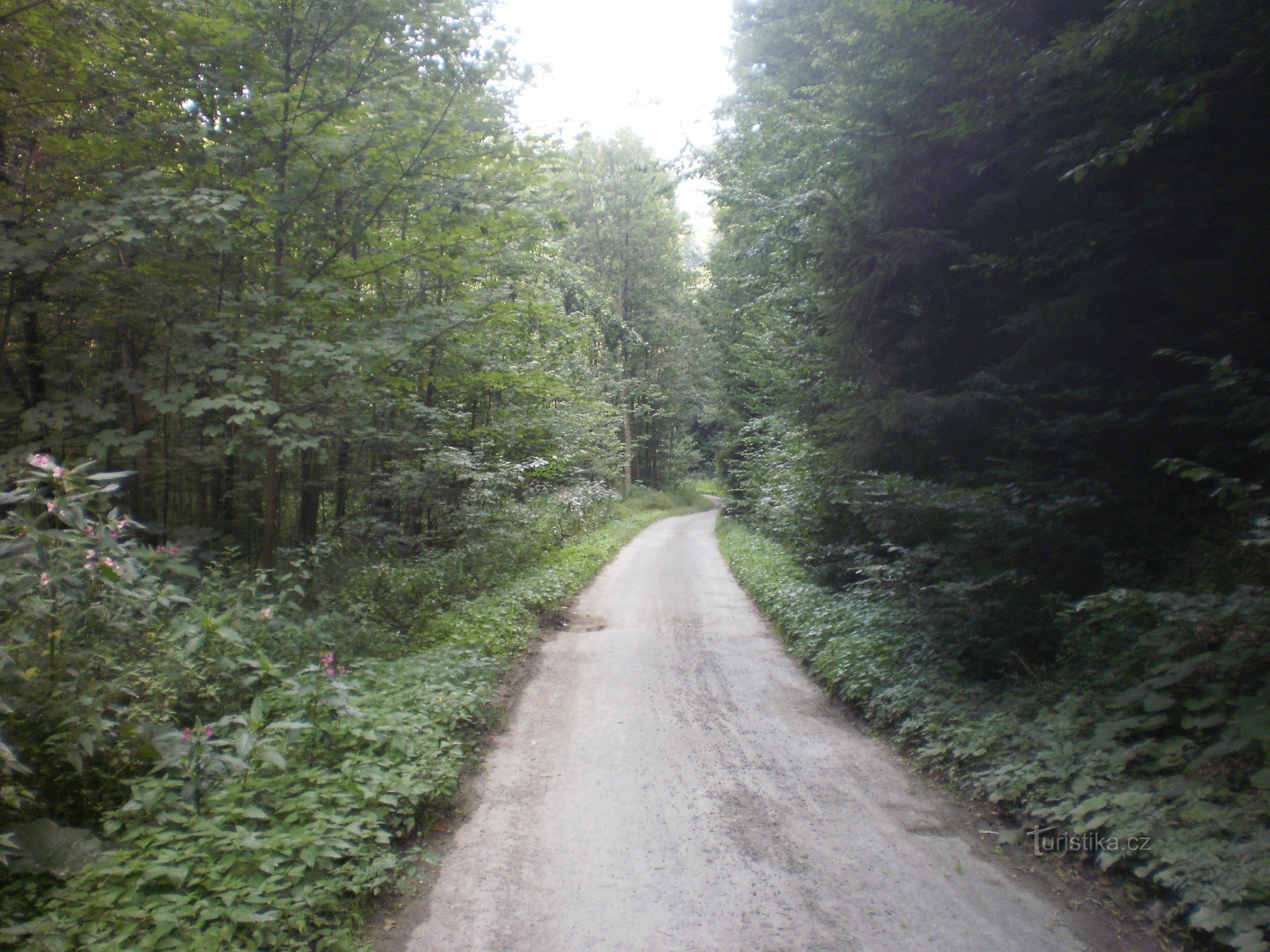 Desde Dlouhá Loučka a través de las cascadas hasta Rýmařov