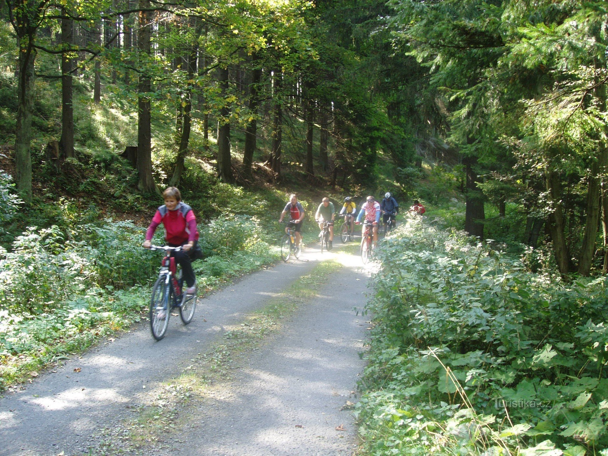 A paved forest road leads from Dolní Morava