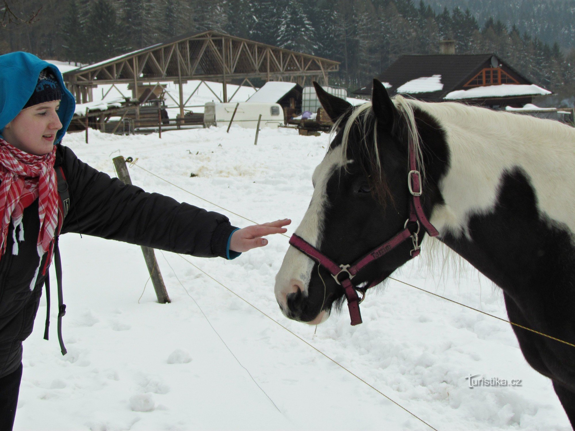 From Držková through the Dřevnice valley to the ranch with horses