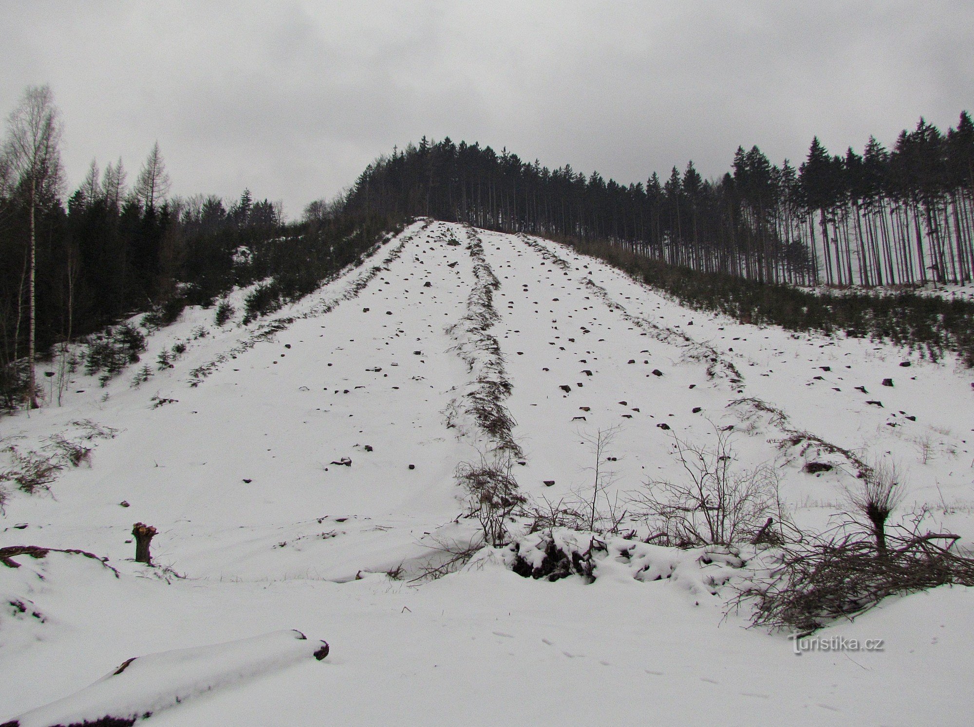 De la Držková prin valea Dřevnice până la ferma cu cai