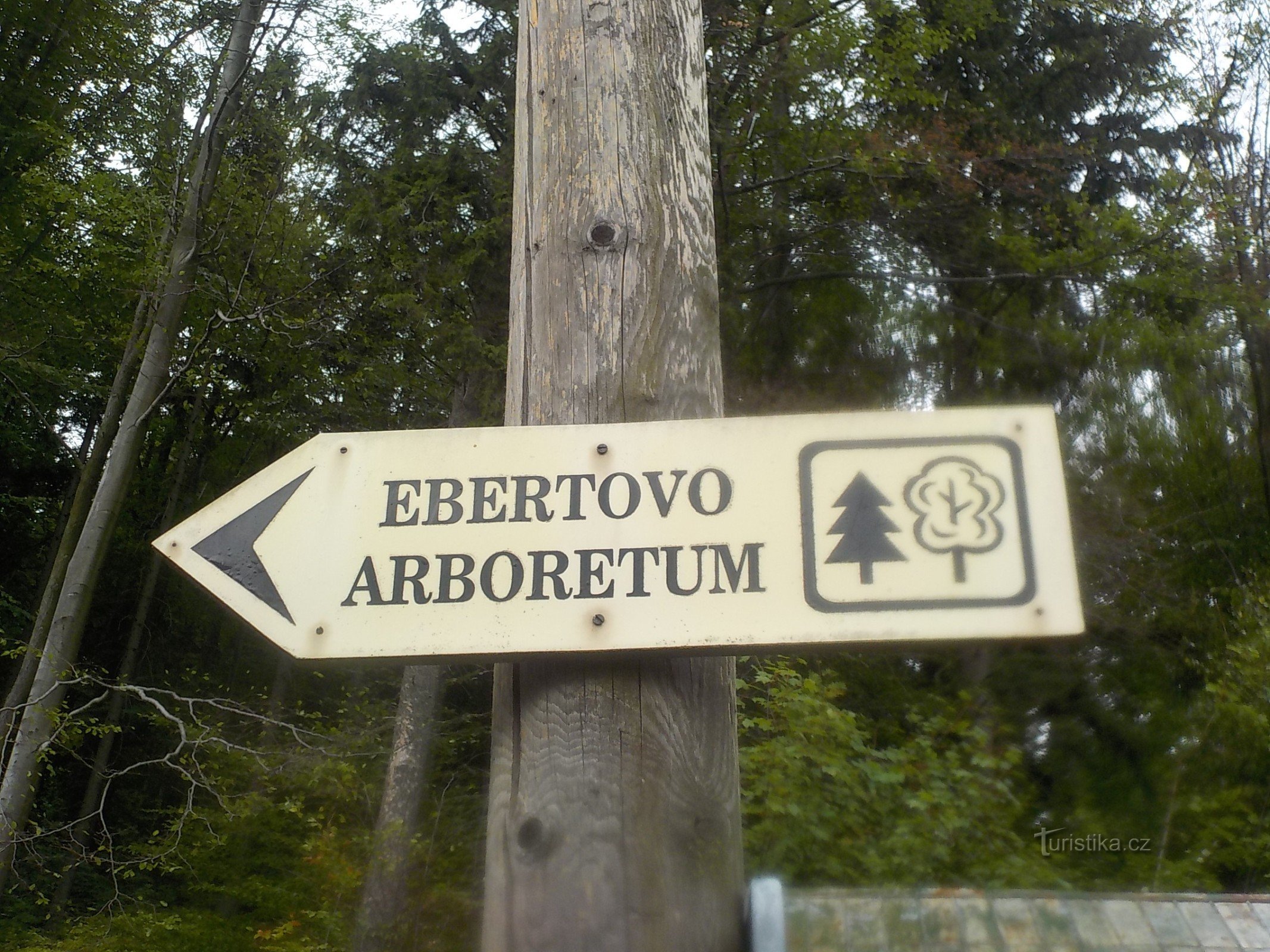 From Ferdinandov to Ferdinandov, through the arboretum and waterfalls