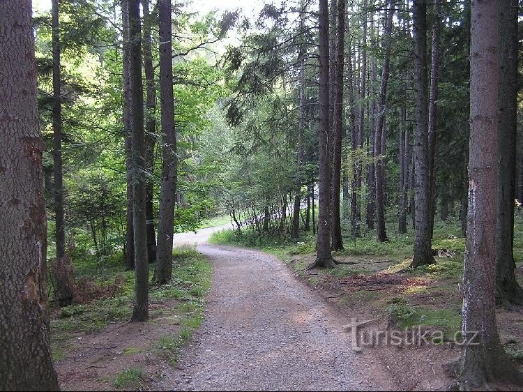 Da Horeček alla sella