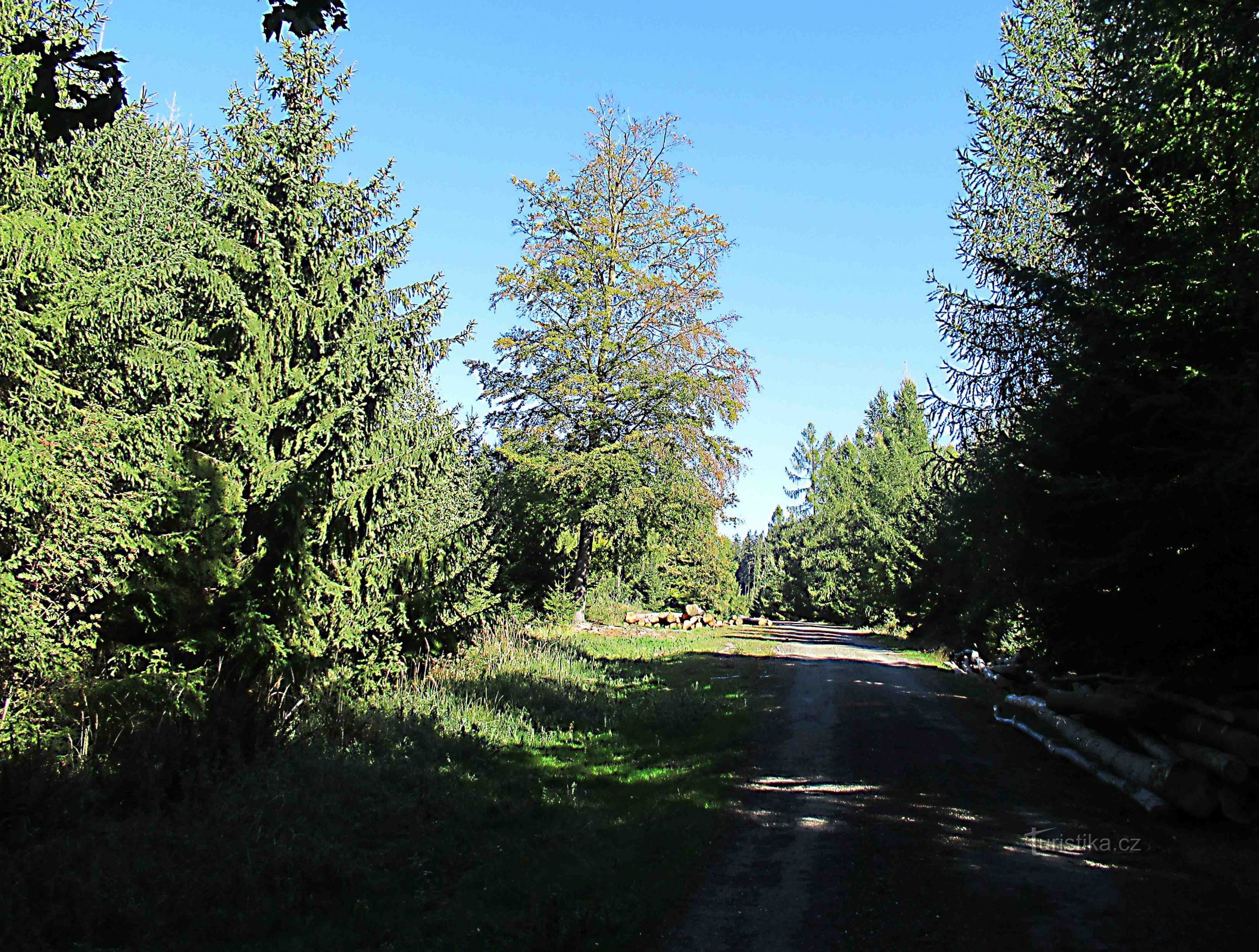 Horní Lhotasta Janov hrad nad Vizoviceen