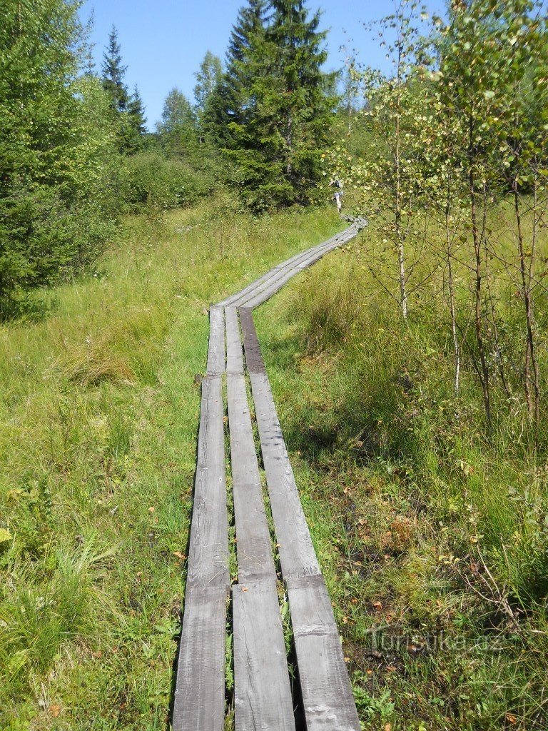 Z Horní Vltavice na Kubovku