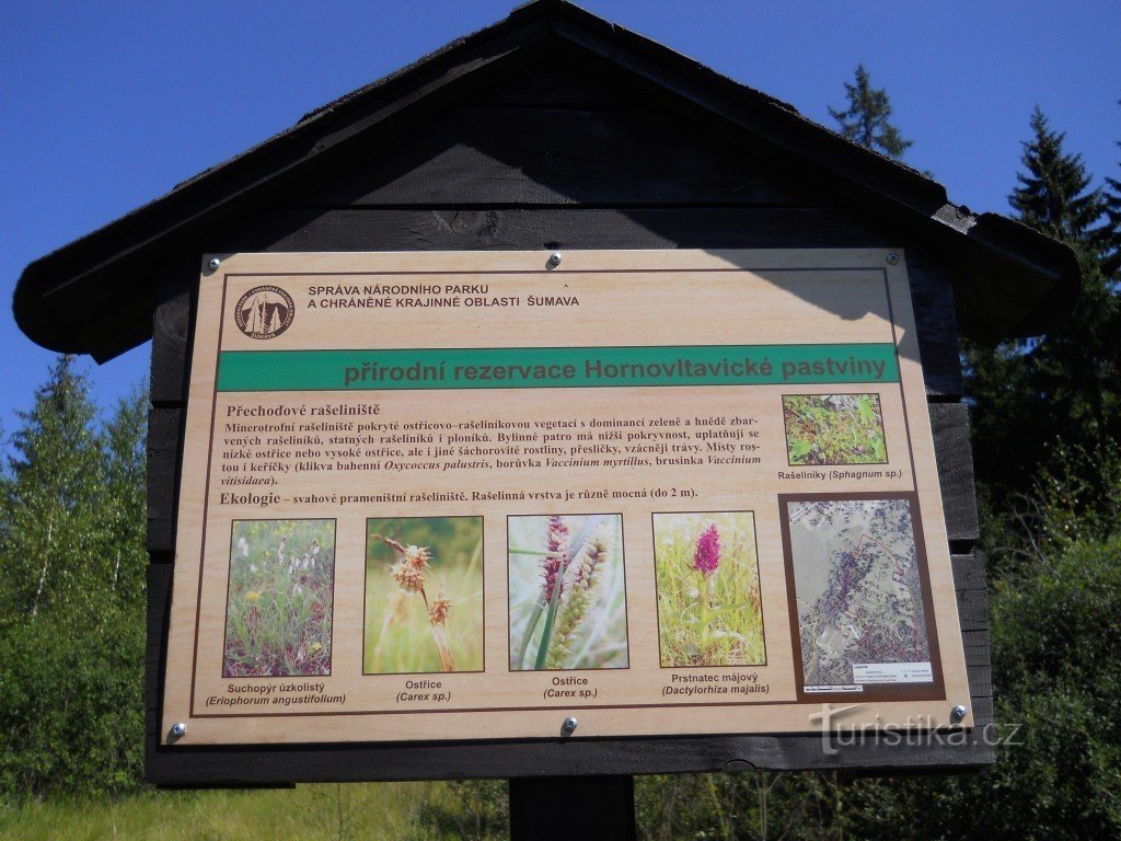 Fra Horní Vltavice til Kubovka