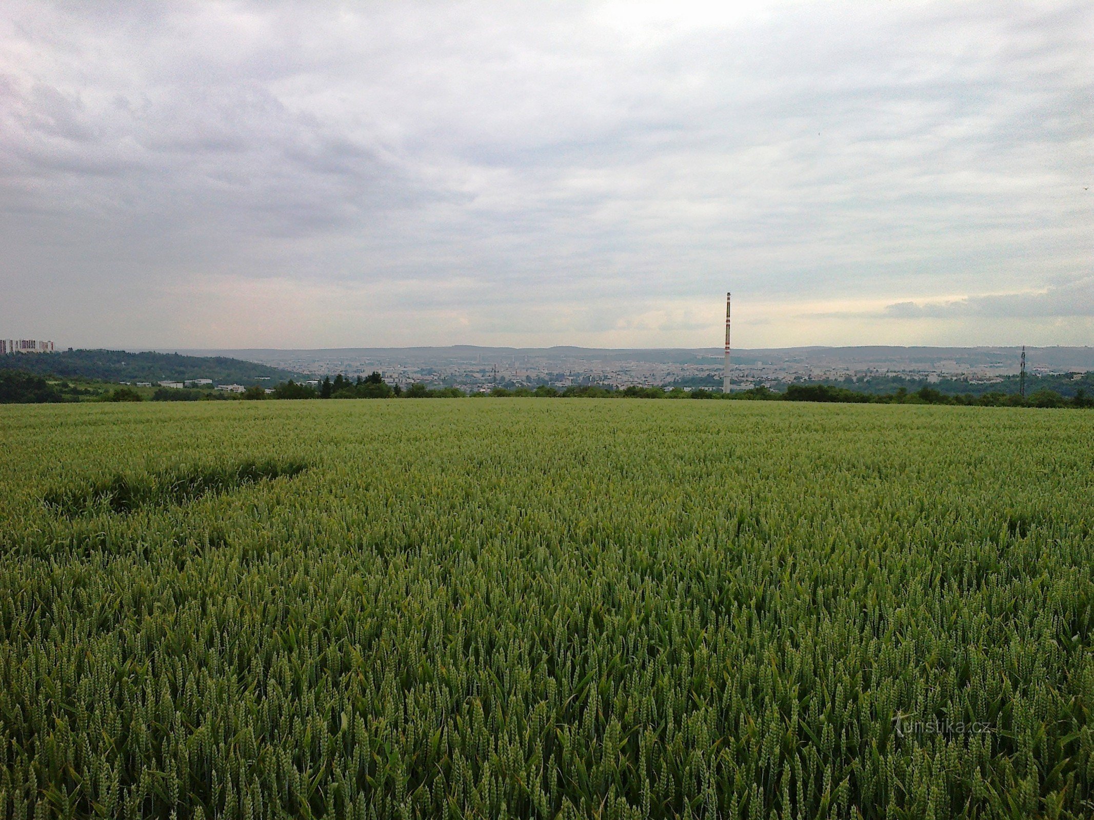 Danas bi s gradine imali lijep pogled na Brno