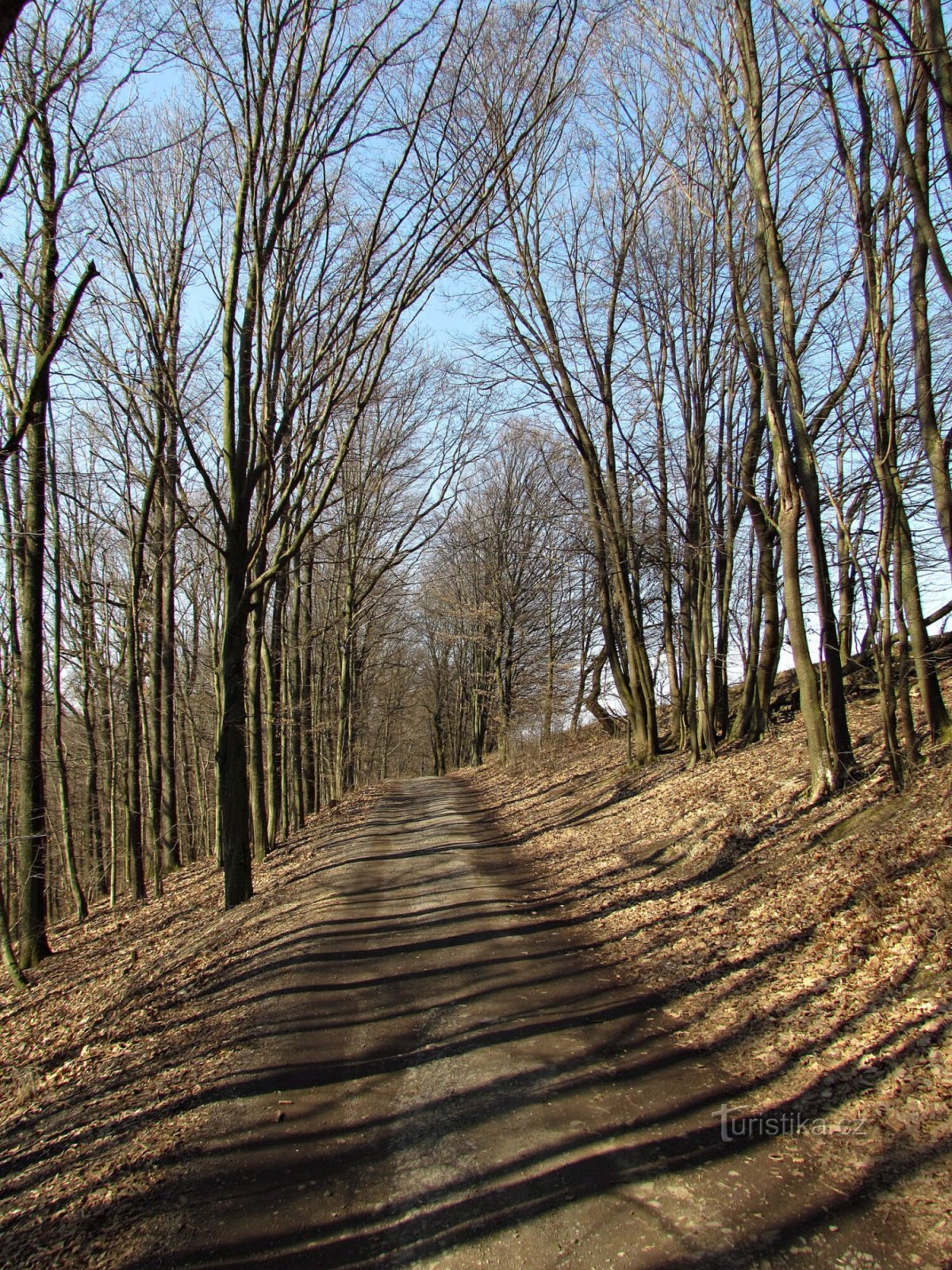 De Jaroslavice non seulement à