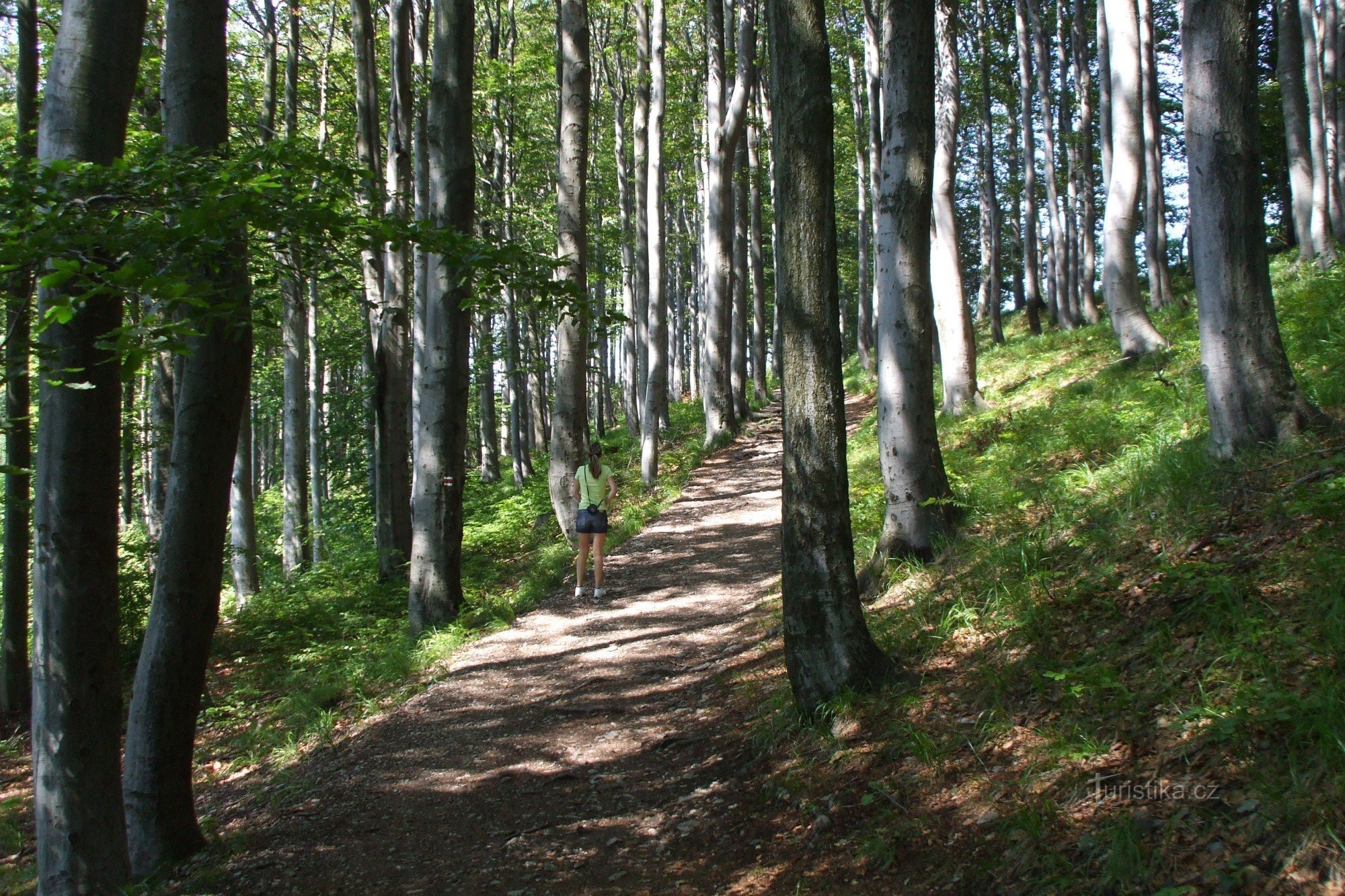 De Jedlová a Jiřetín para hermosas vistas