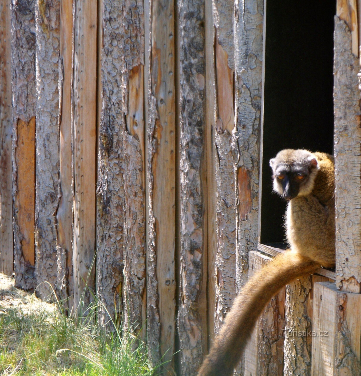 Da Kladno allo zoo di Zájezd