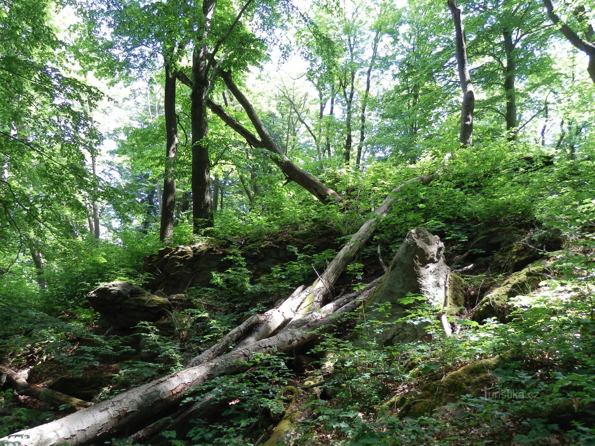 From Kostelka u Jihlava via Špičák to Třešte