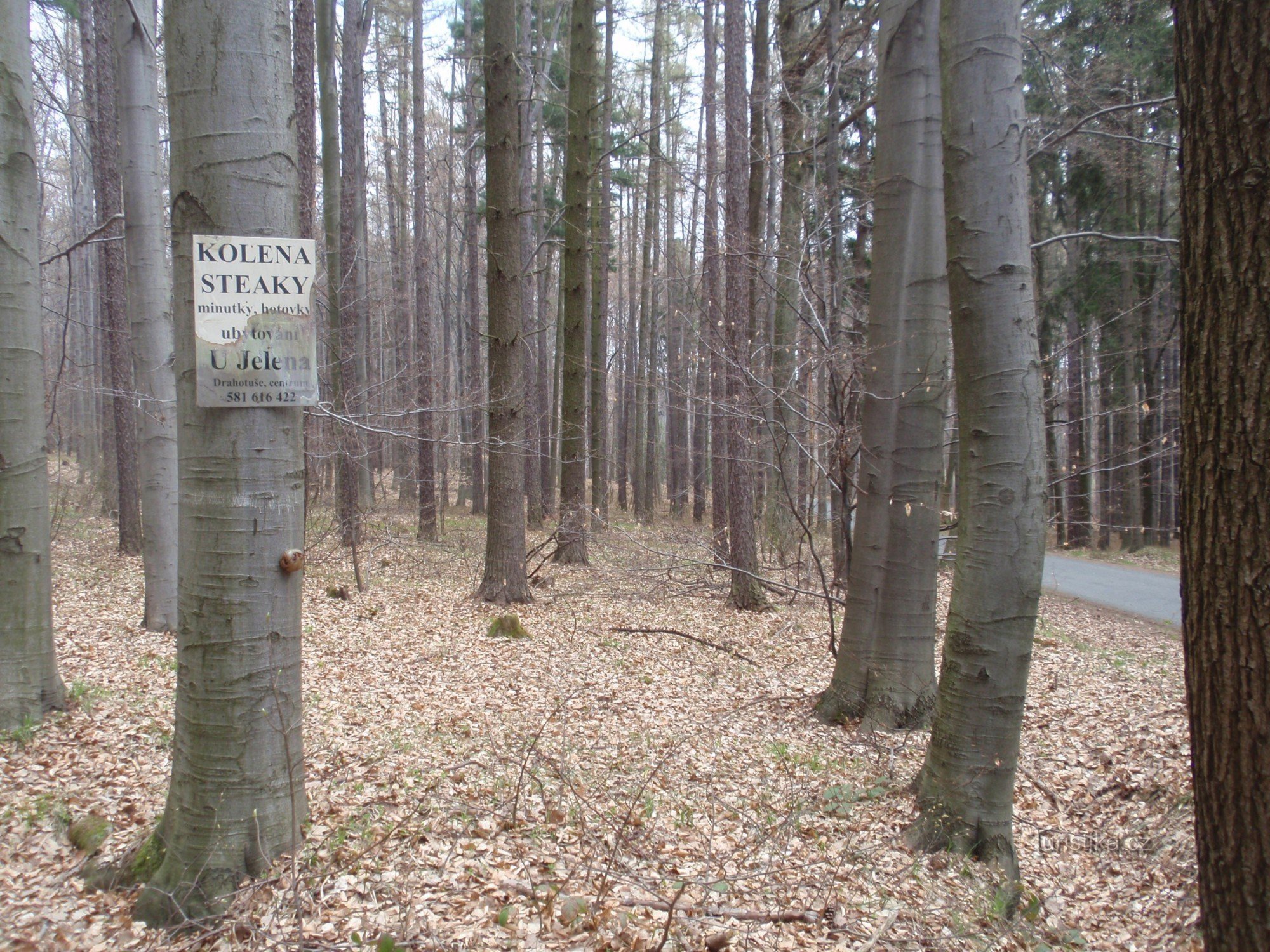 Iz Lipnika preko Helfštýna in Teplic nad Bečvou do Hranic