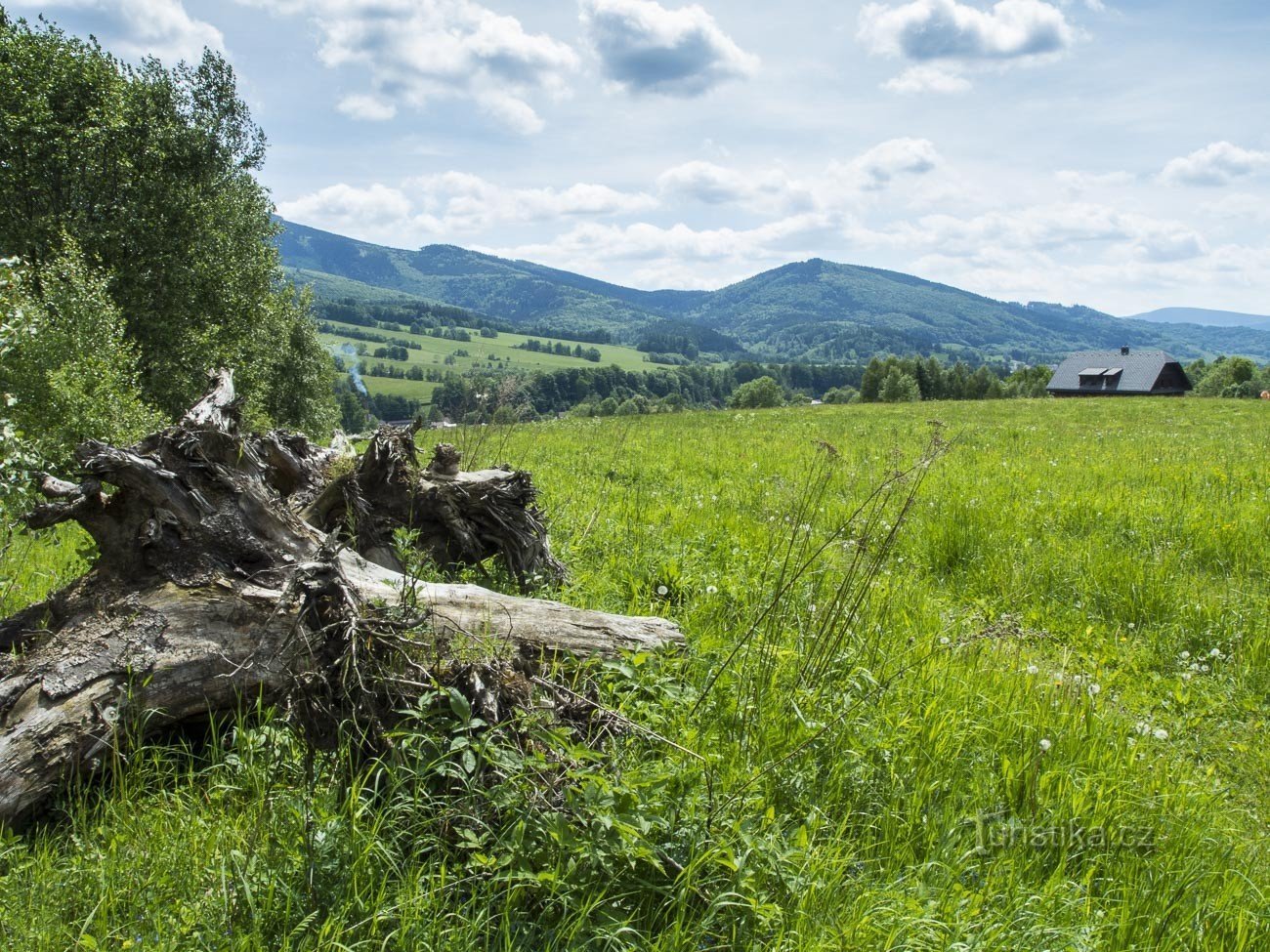 Fra Loučná nad Desnou til Kluč