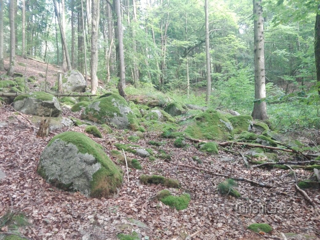 Från Merklín till Merklín via berget Plešivec