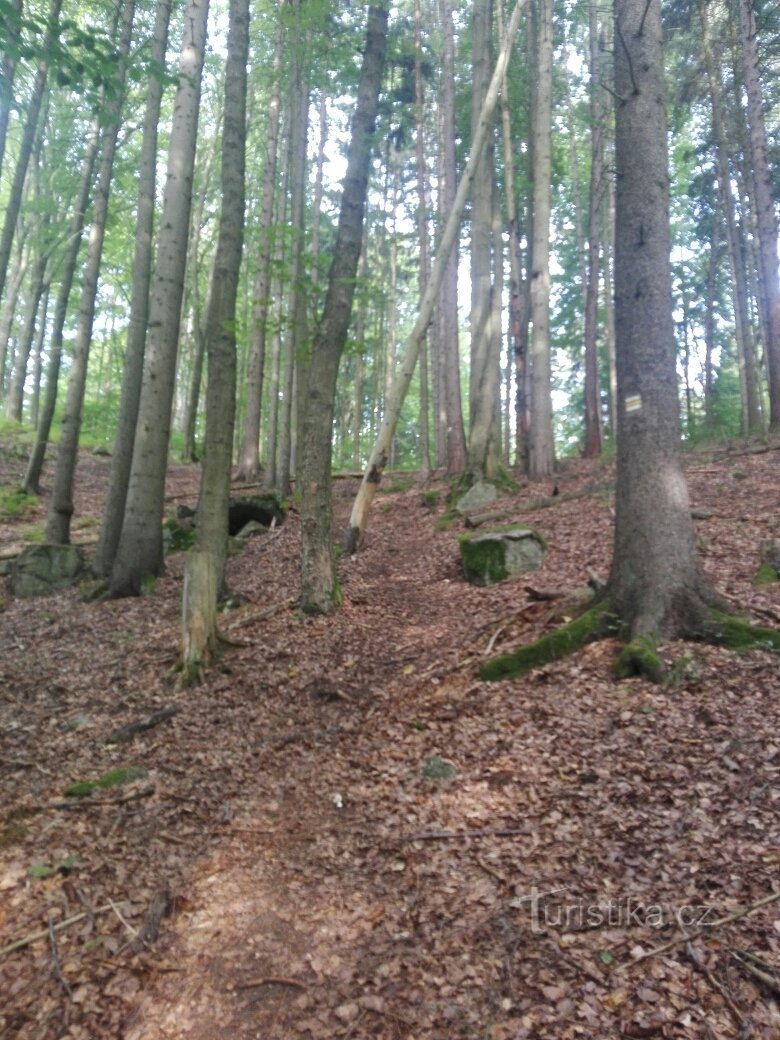 Van Merklín naar Merklín via de berg Plešivec