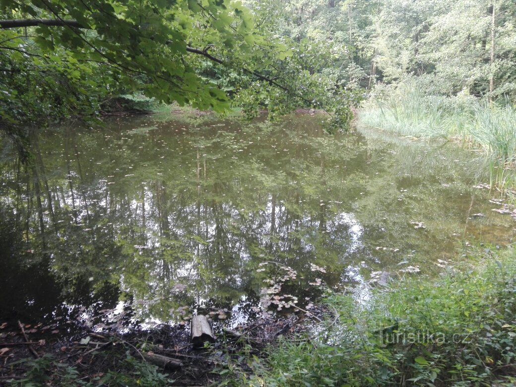 De Merklín a Merklín a través de la montaña Plešivec