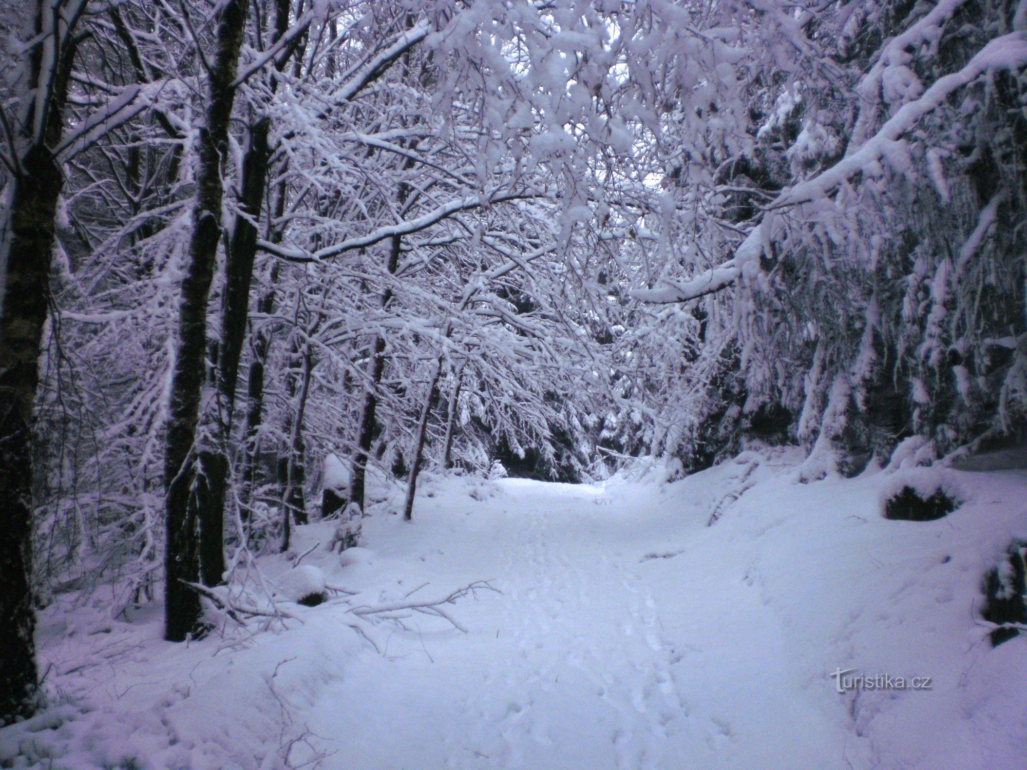 From Mikulášovice to Tanečnica