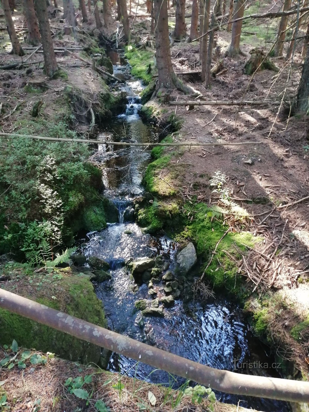 Od Nepomuka do Nepomuka preko Praga i Kočke