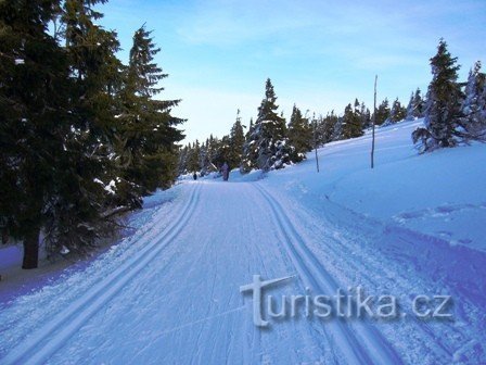 Van Ovčárna naar Zwitserland