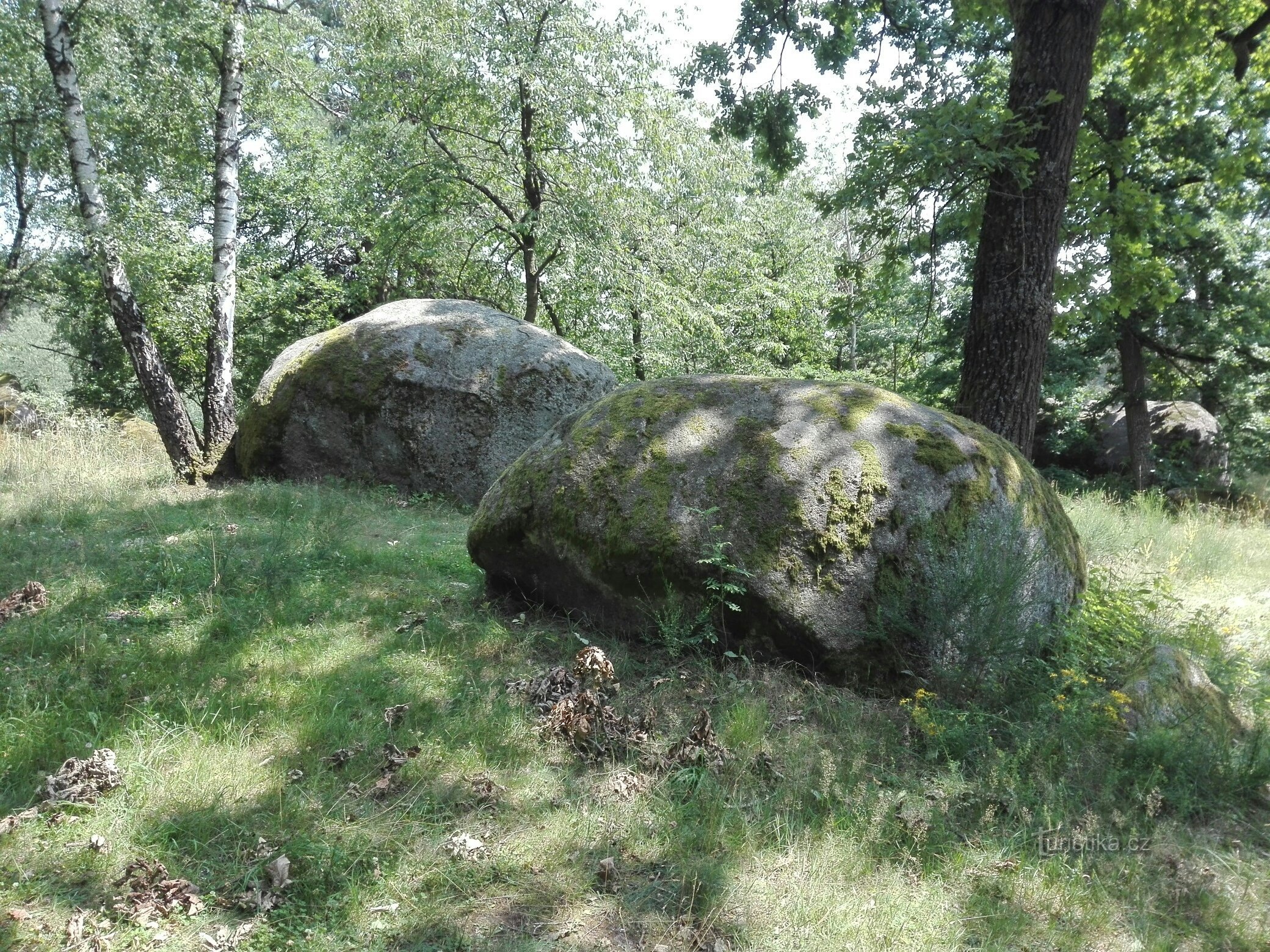 Von Petrovice nach Petrovice über die Hus-Kanzel und den Kuníček-Aussichtsturm