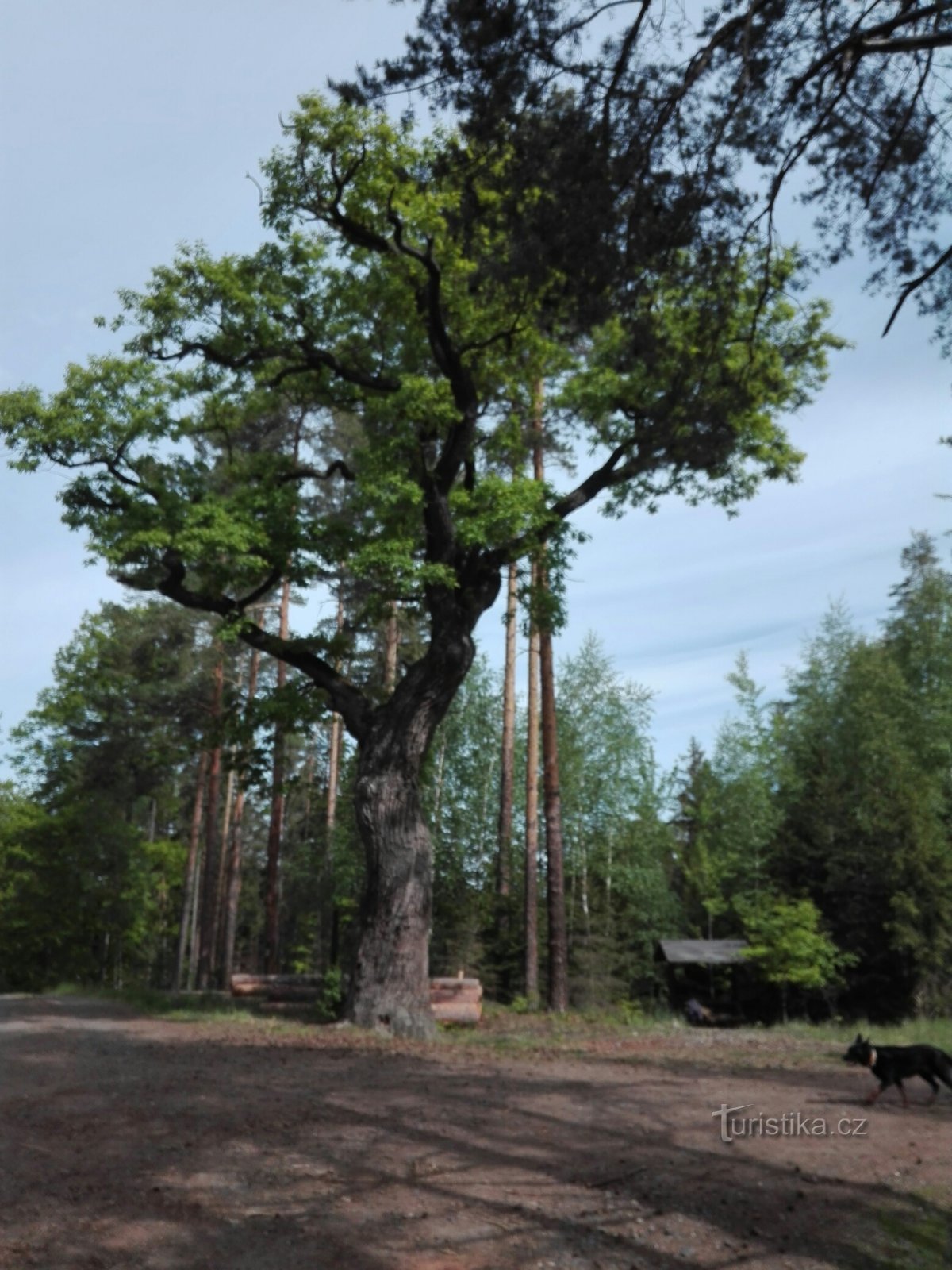 Da Pnětluk a Pnětluk passando per i menhir e la Pravda