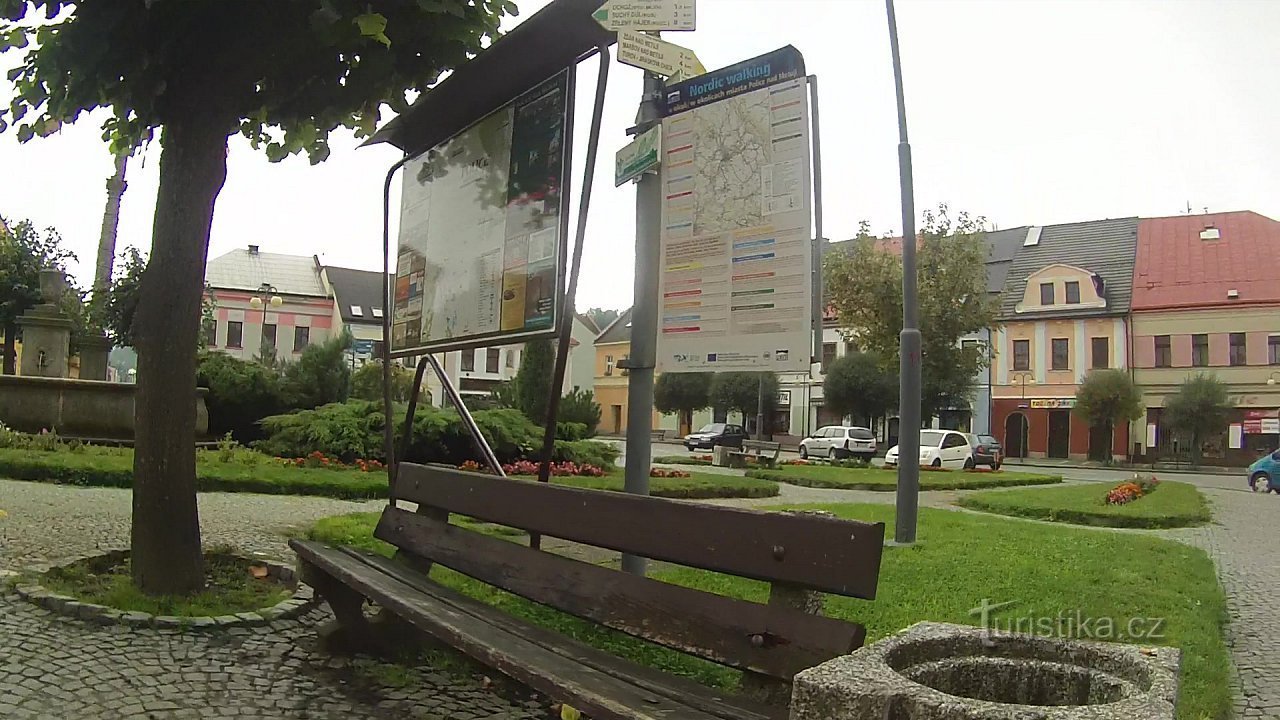 Del bosque de Police nad Metují árboles y rocas de arenisca