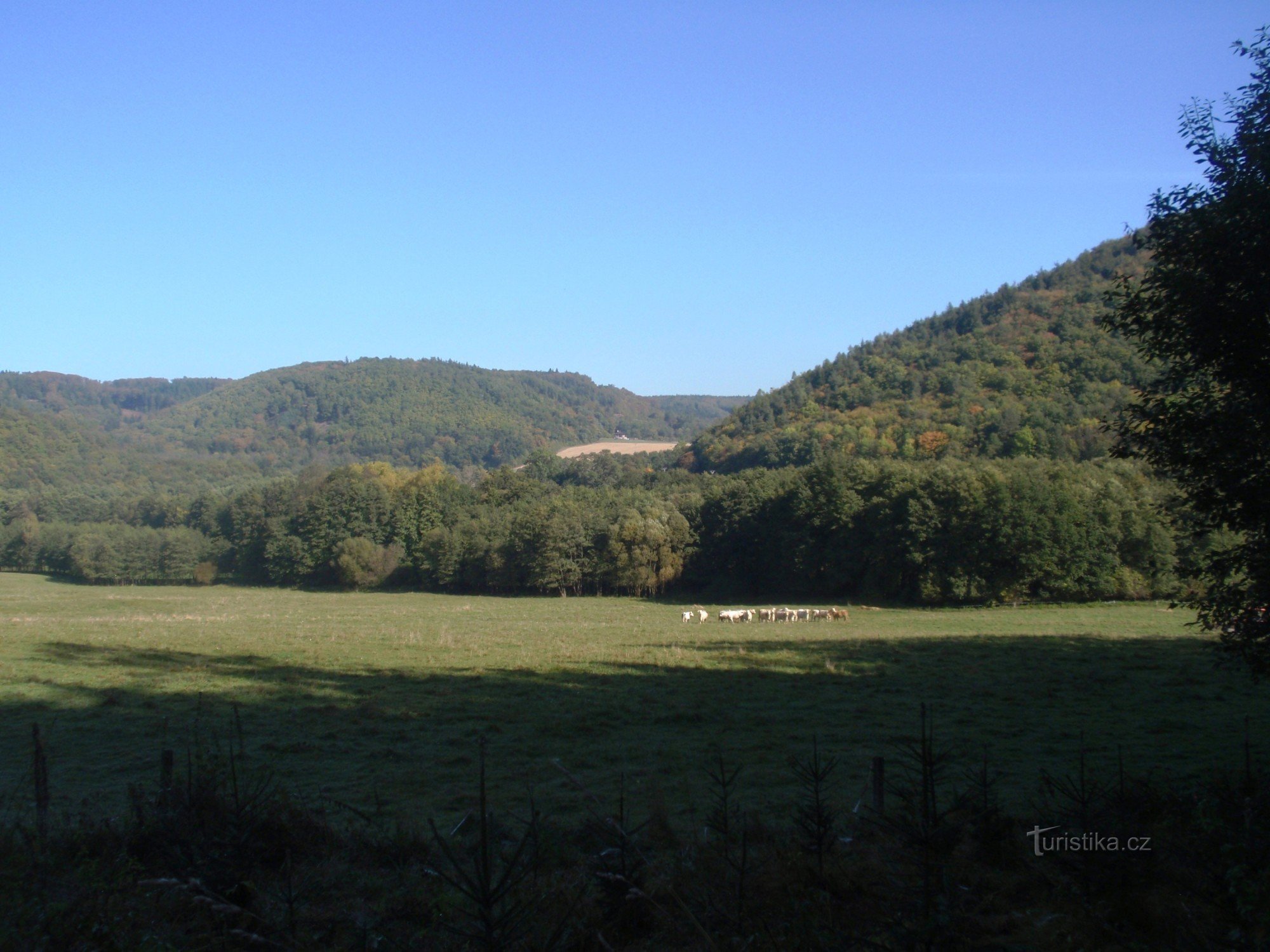 Da Račice a Jedovnice