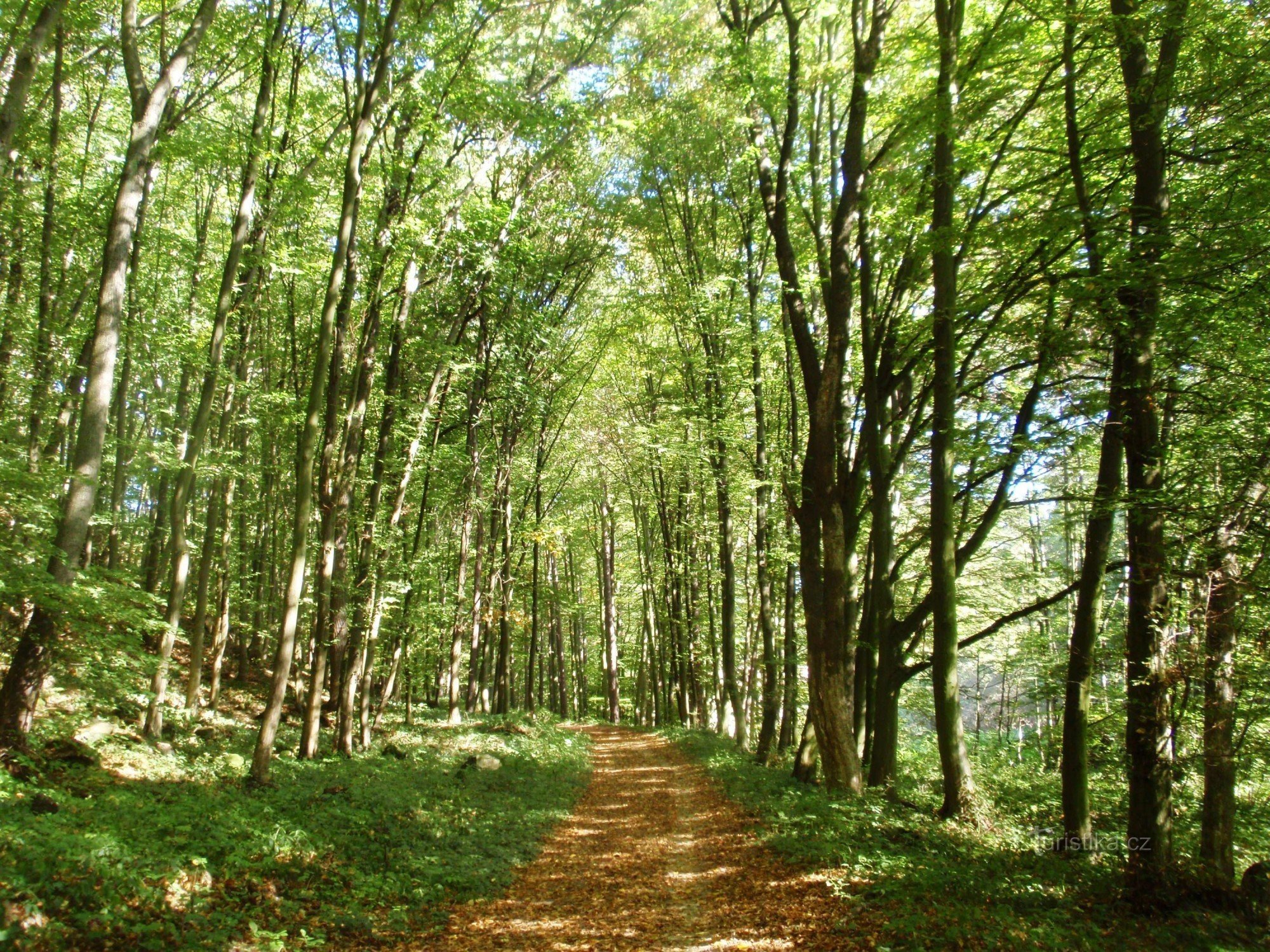 De Racice à Jedovnice