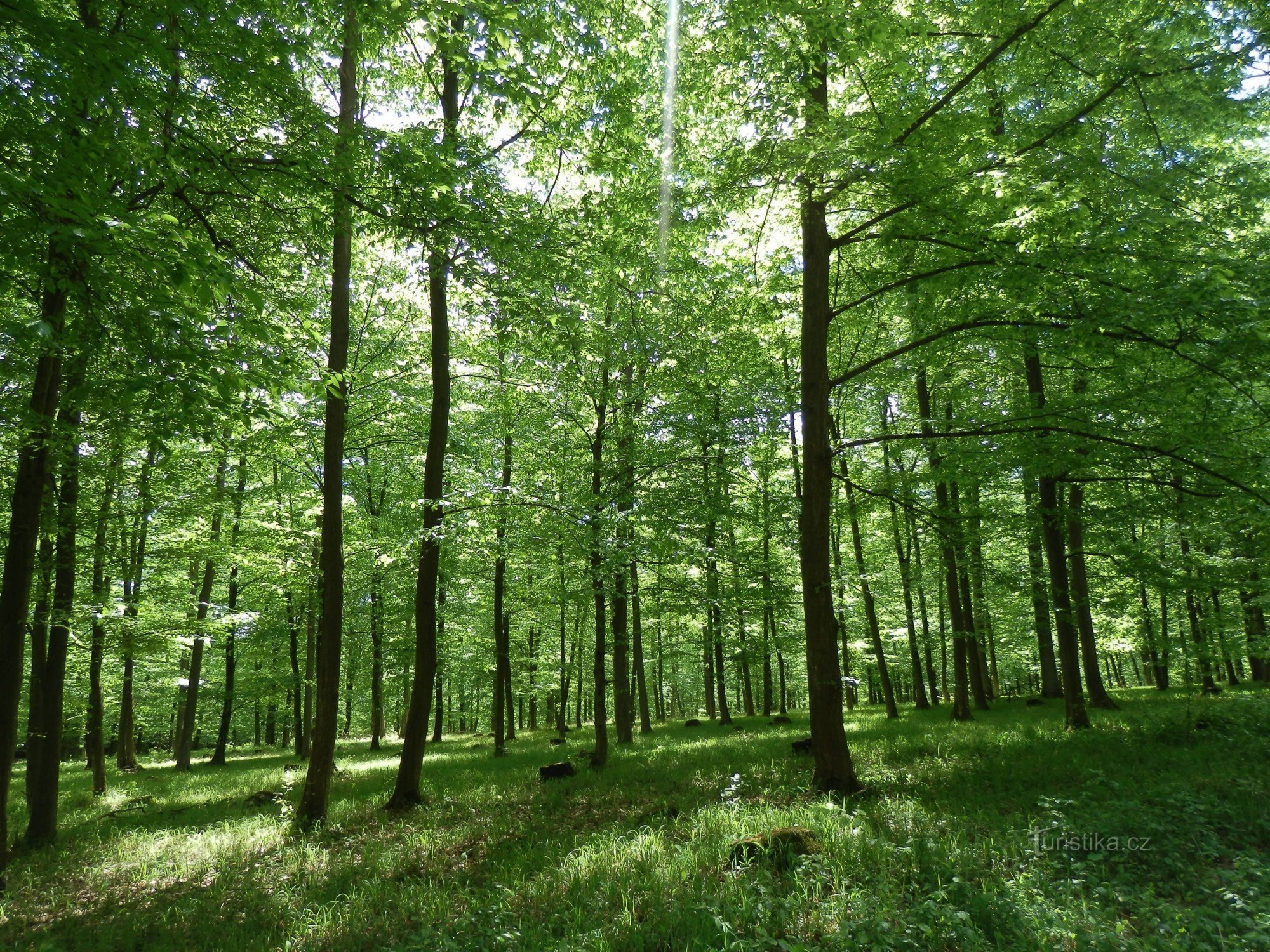 De Rychtářov via Opatovice para Vyškov