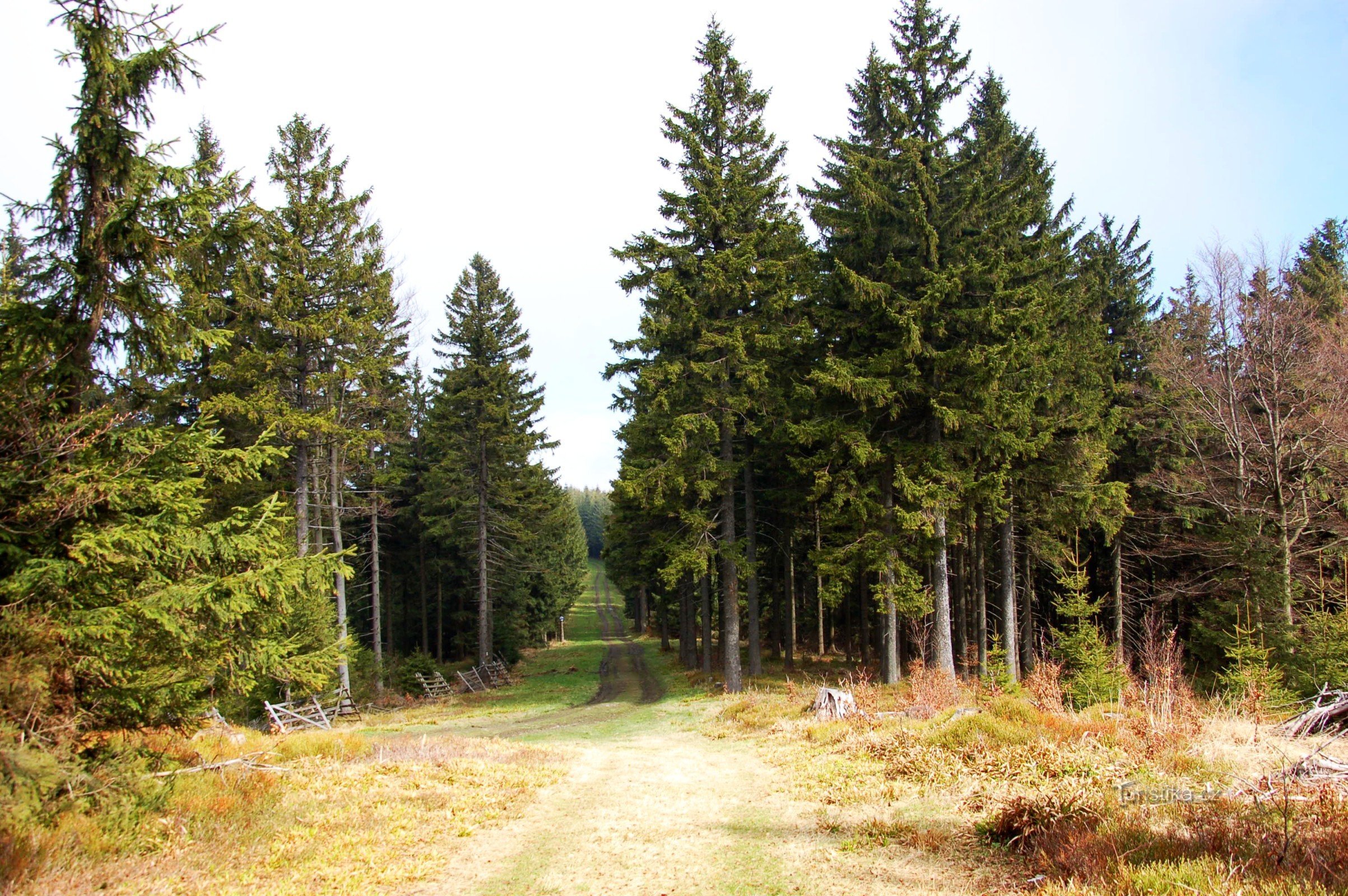 von Tanečnice nach Noříčí horu (und Zmrzlý vrch) (6/2014) Fahrt mit einer Langlaufloipe