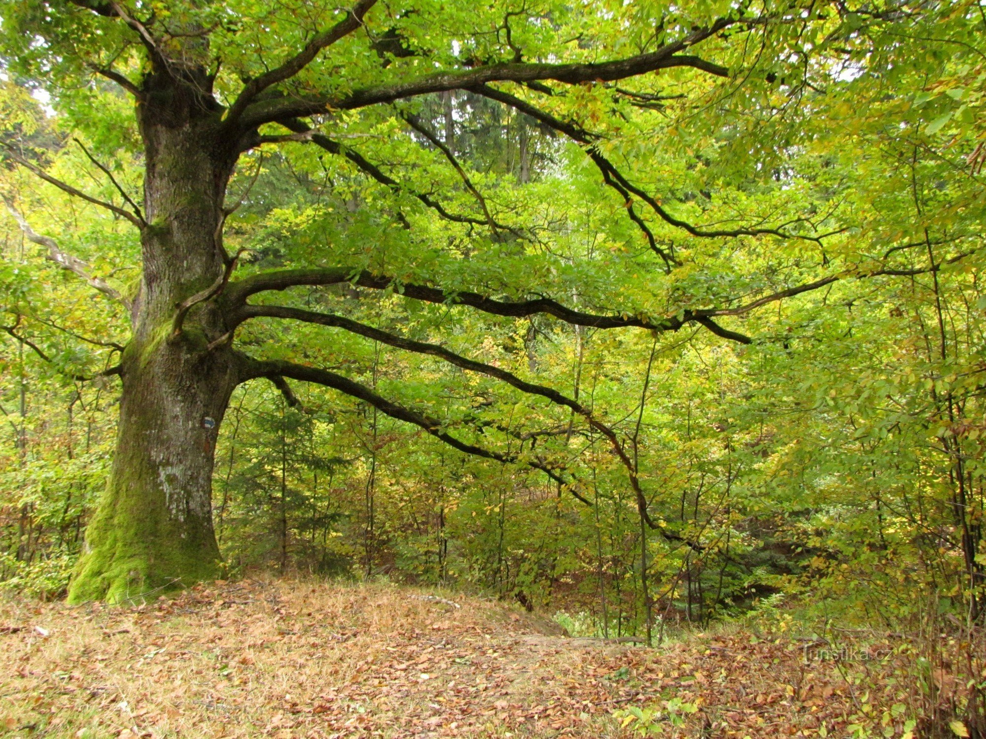 Van Tesák via Kuželek naar Držková