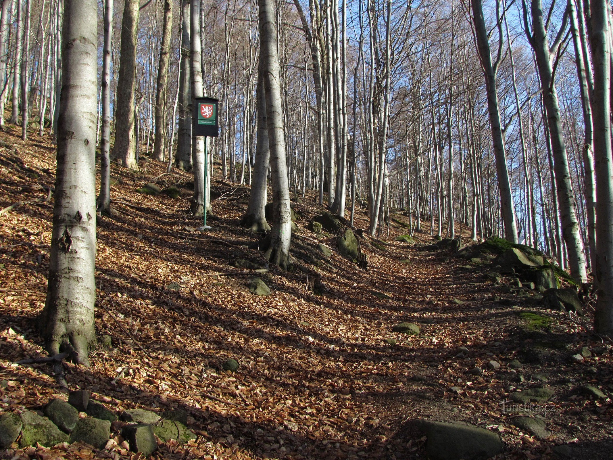 Van Tesák via PP Orlí hnízdo naar de uitkijktoren op Kelčské Javorník