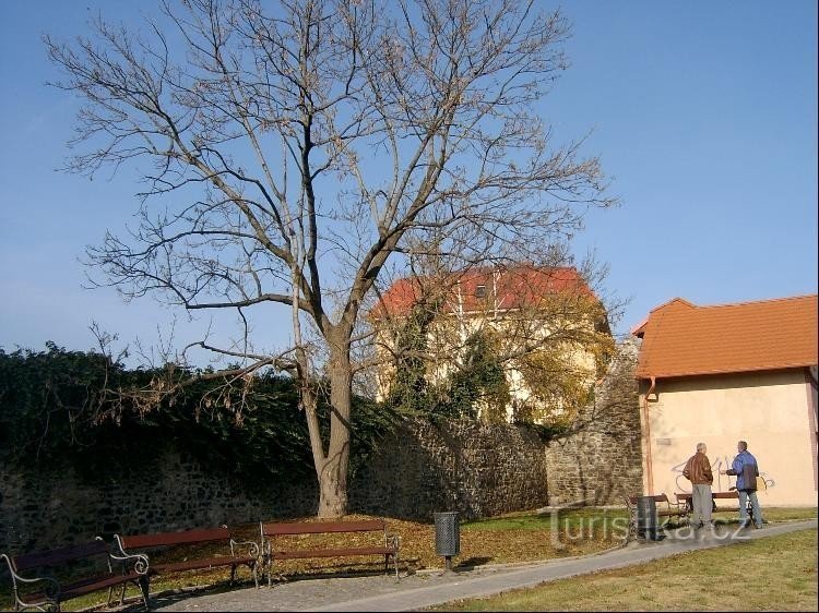 Vanaf Na Parkán Street: Zuidelijk deel van de muren. De koninklijke stad Beroun was Výclave in 1295