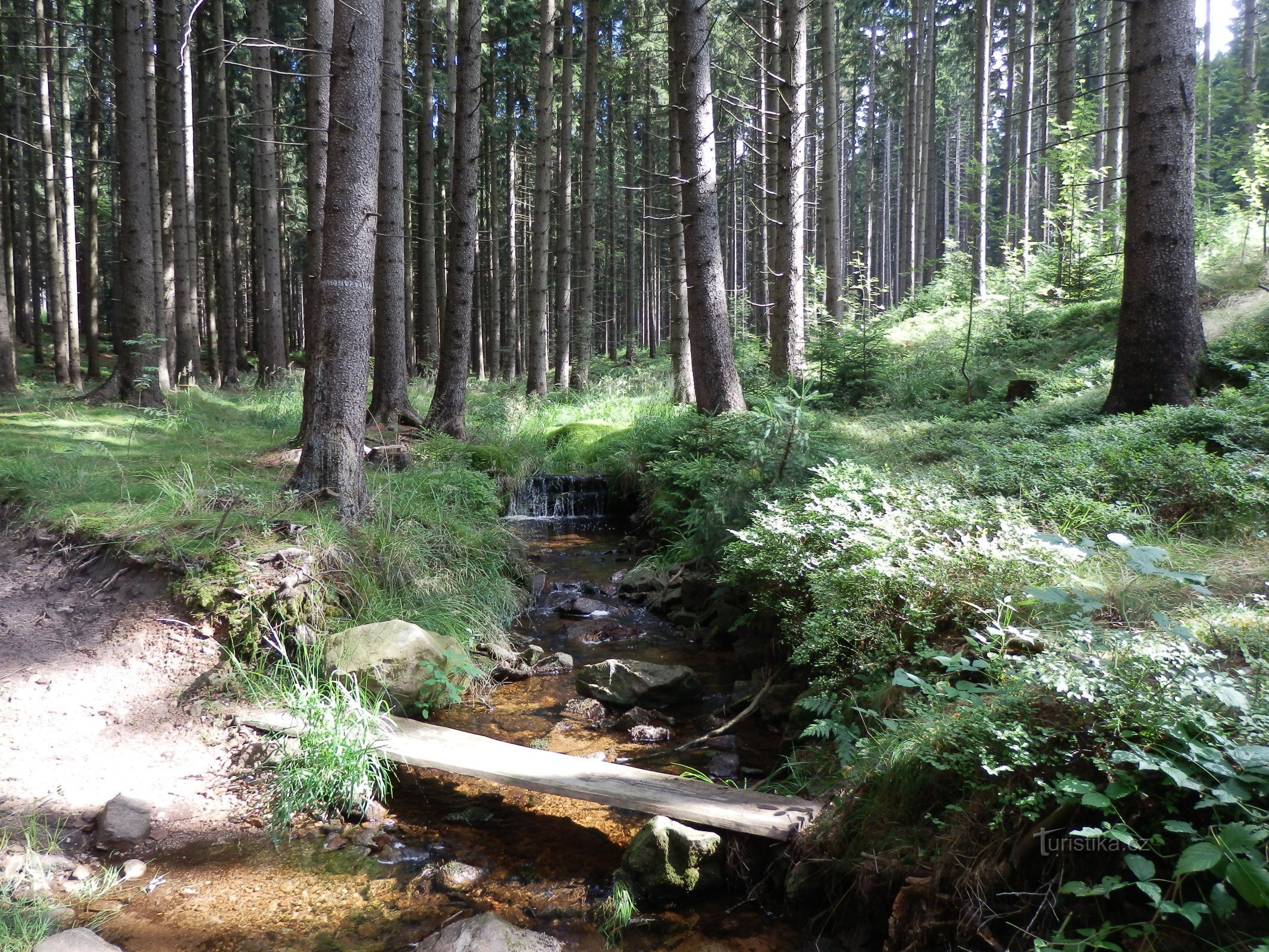 From Vojnov Městec via Škrdlovice and Račín to Žďár