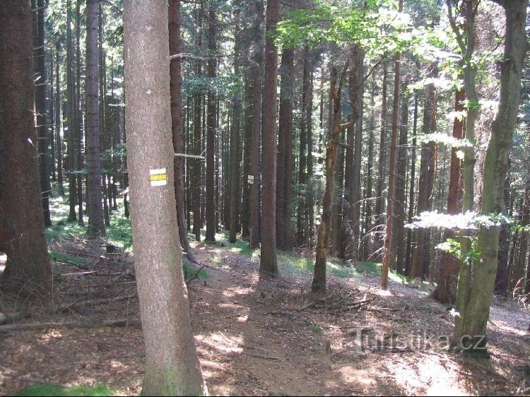 Vanaf de top (van Peter's hutten) naar de wegwijzer