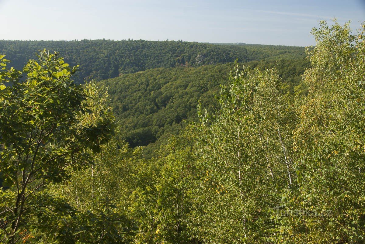 From the lookout