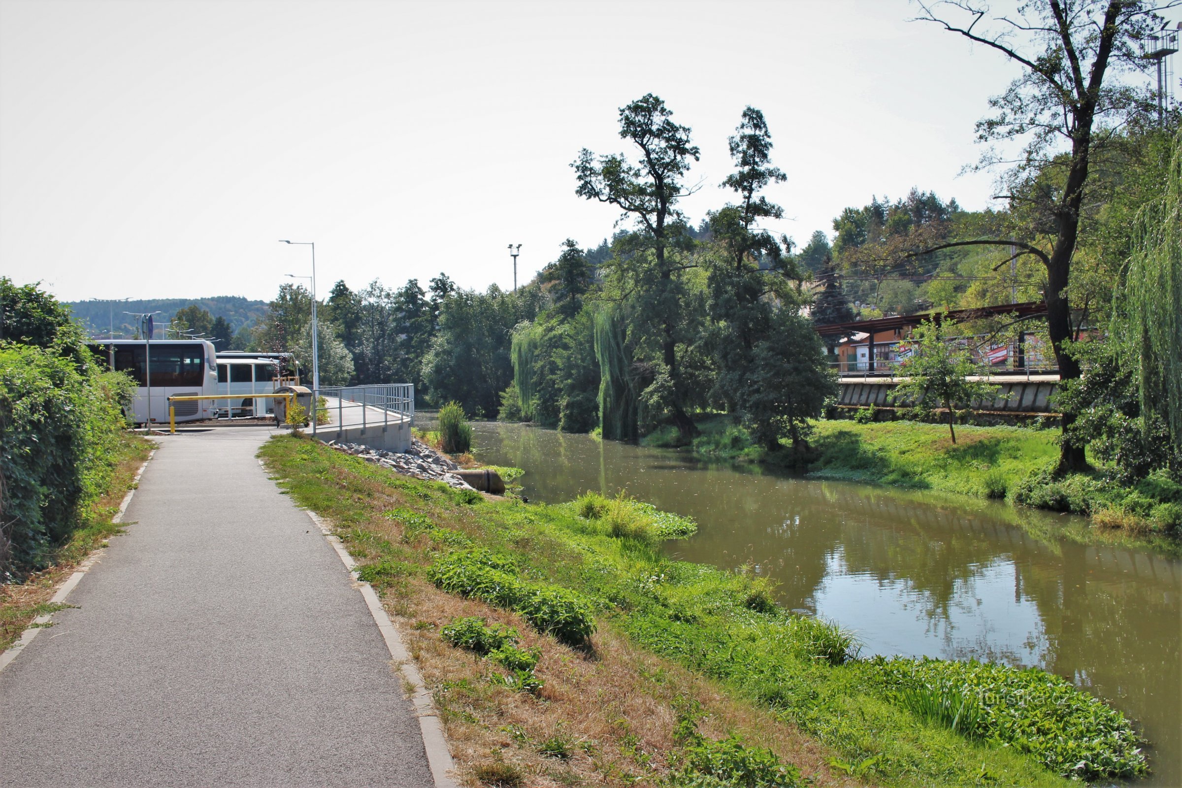 The coastal meadows are already starting behind the bus station