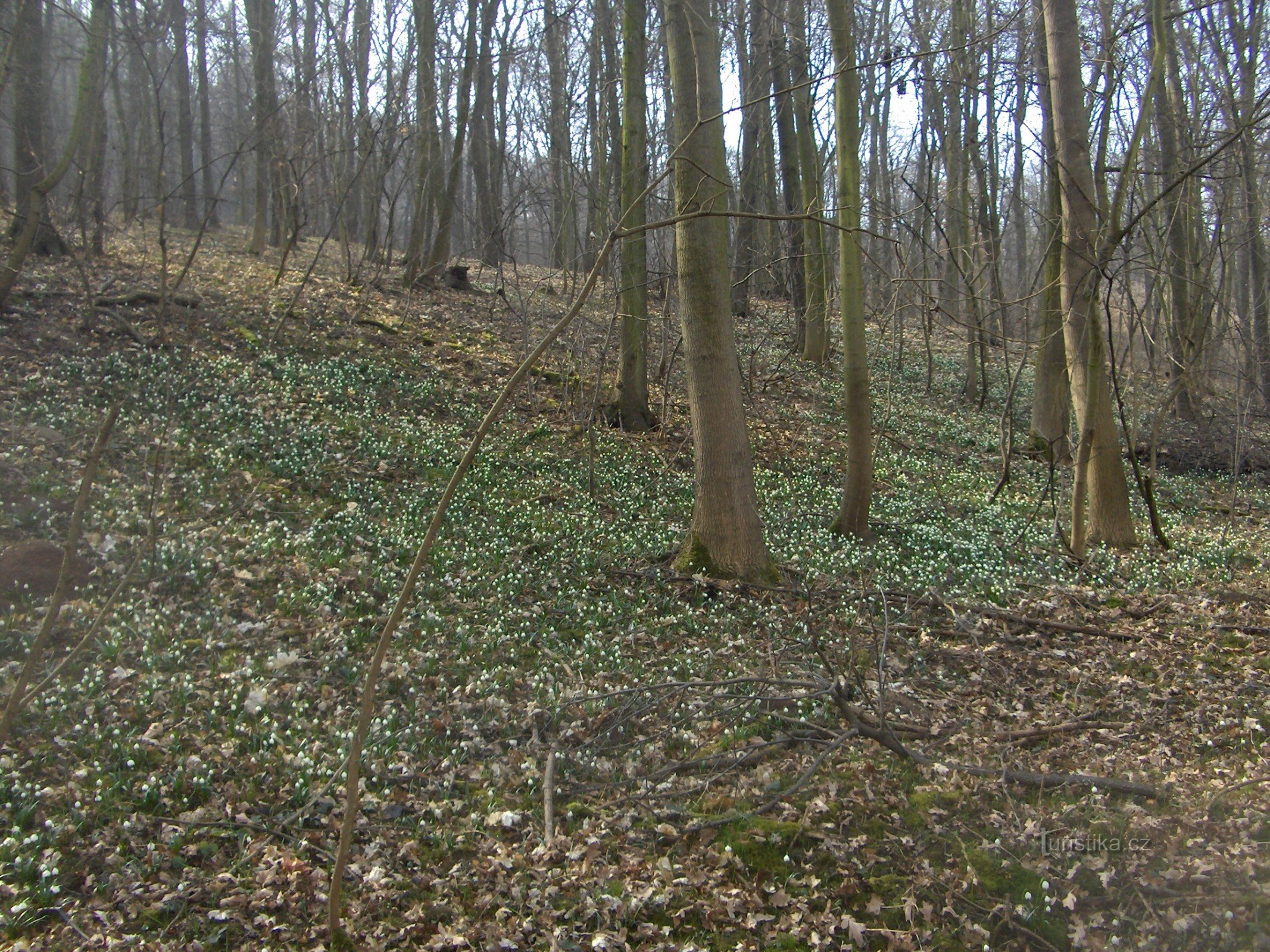 Achter de bleke naar Šebín.