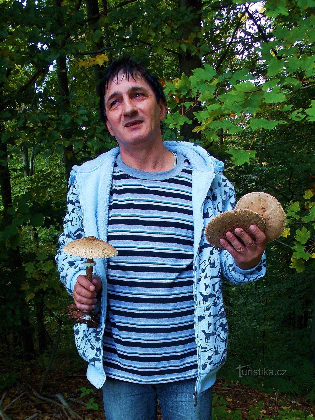 For mushrooms to the village of Držková near Zlína