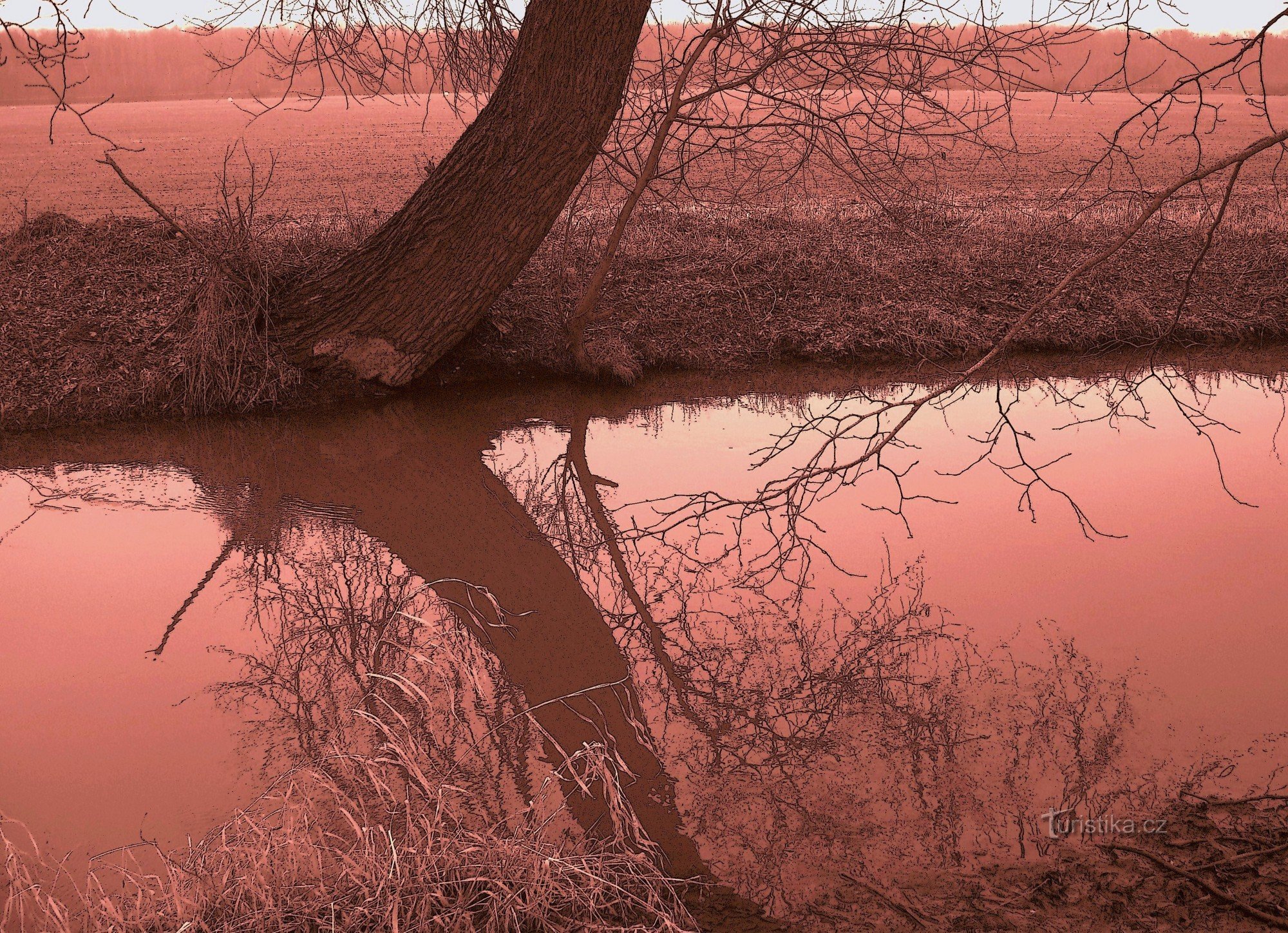 Por trás da natureza despertando na primavera através de Litovelské Pomoraví