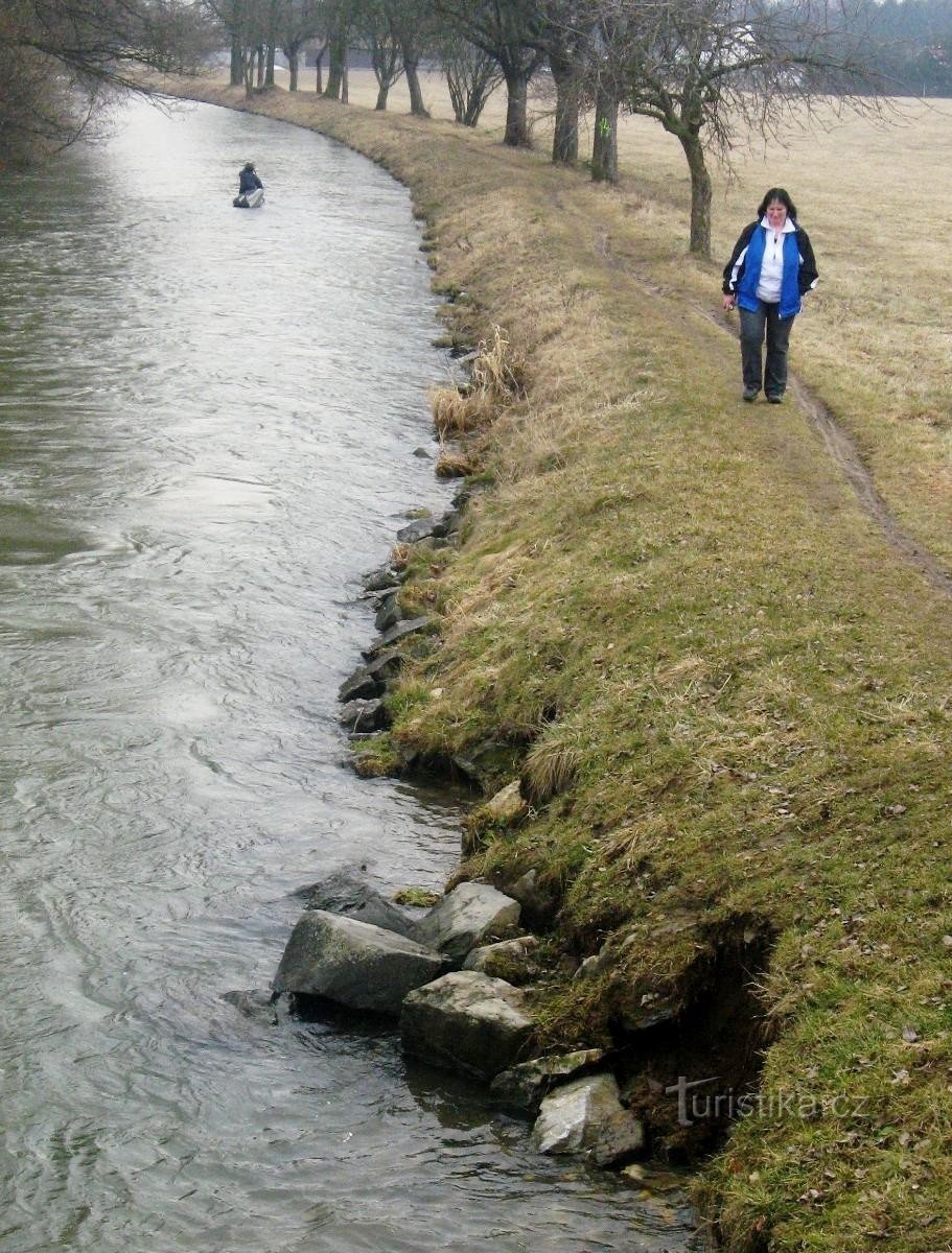 Detrás de la primavera que despierta la naturaleza a través de Litovelské Pomoraví