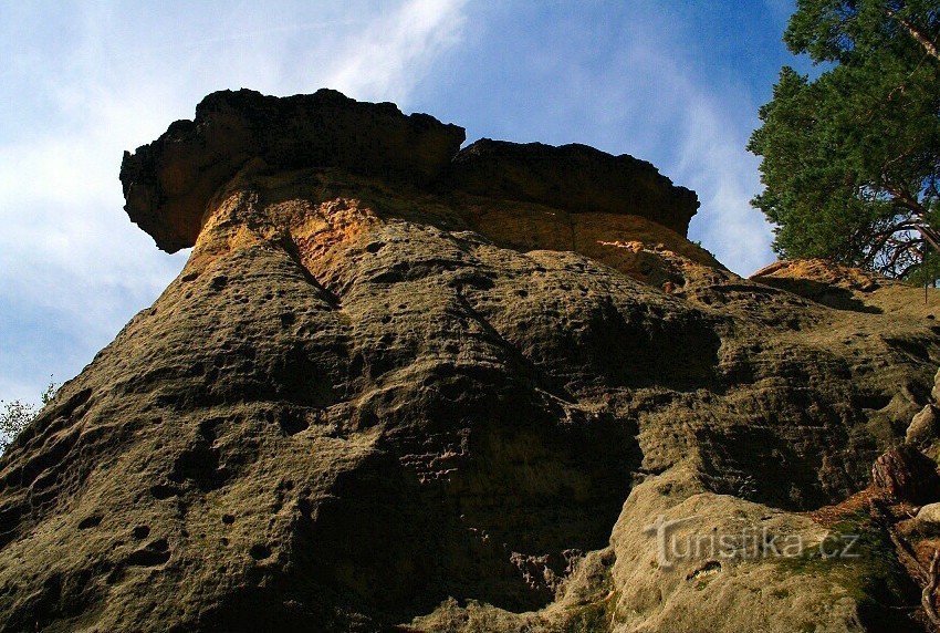 Za krásou kokořínských pokliček