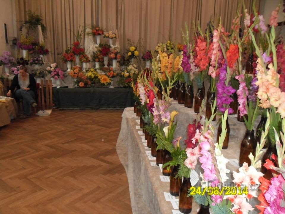 Para flores, arte e natureza para Moravec em Žďársk