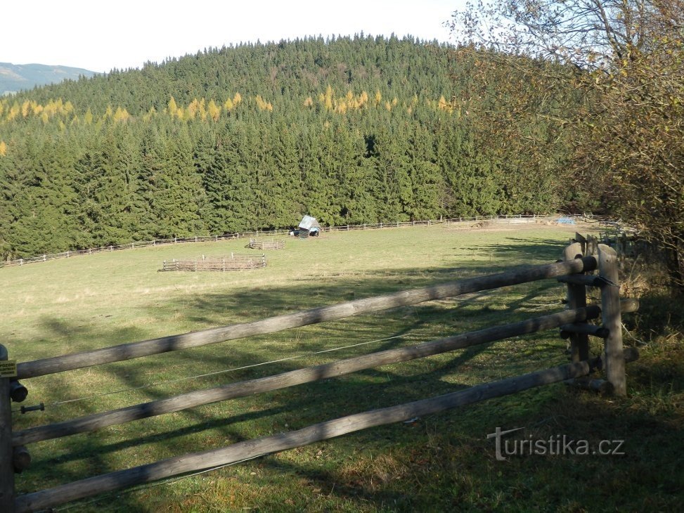 Hinter dem Blumenbeet erhebt sich der Berg Mravenečník