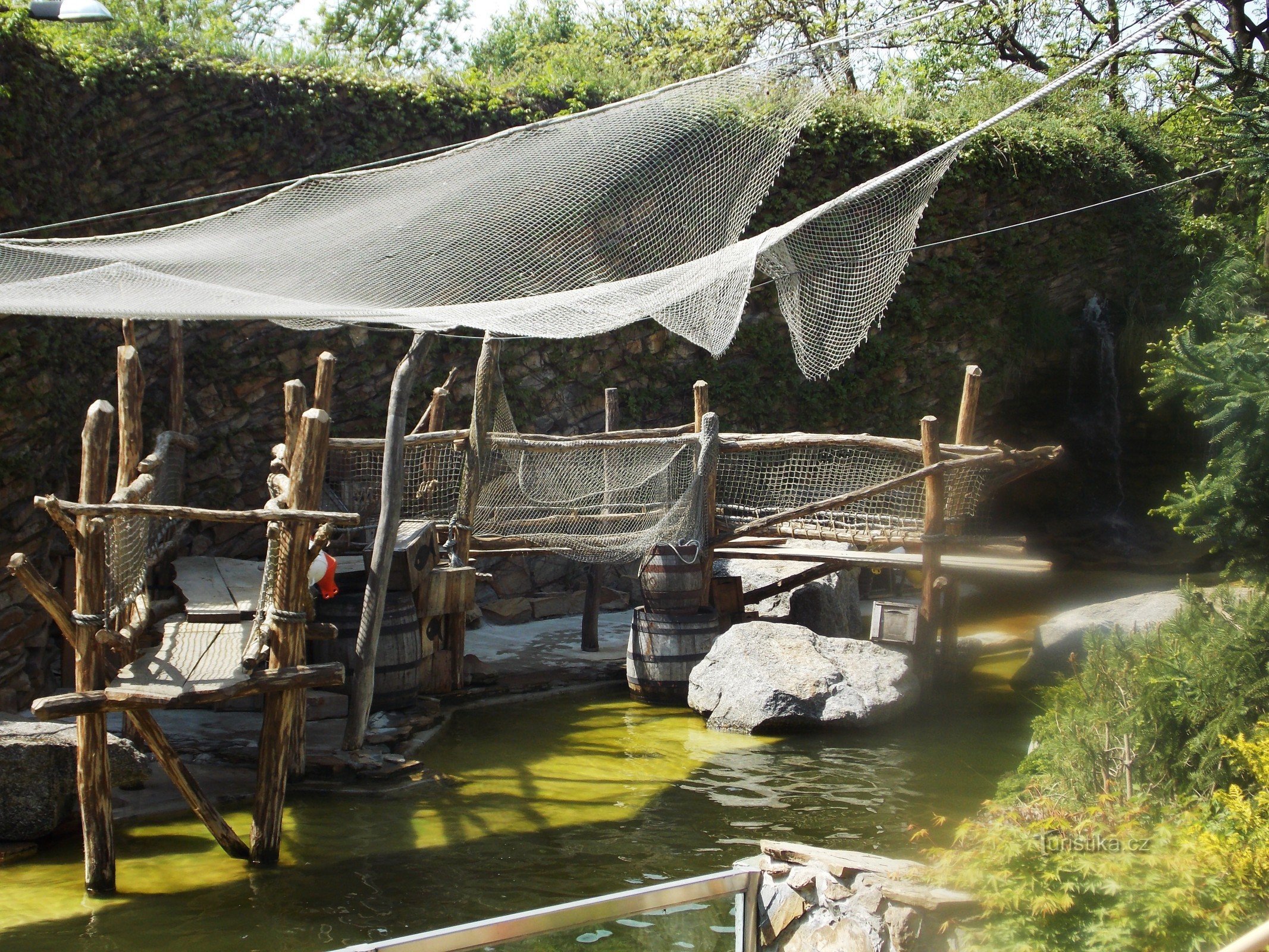 Para leones marinos al ZOO Zlín - Lešná