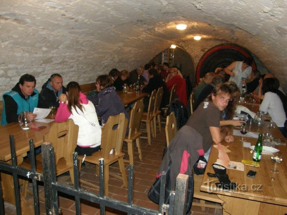 För vinprovning och historia på Mělník Regional Museum