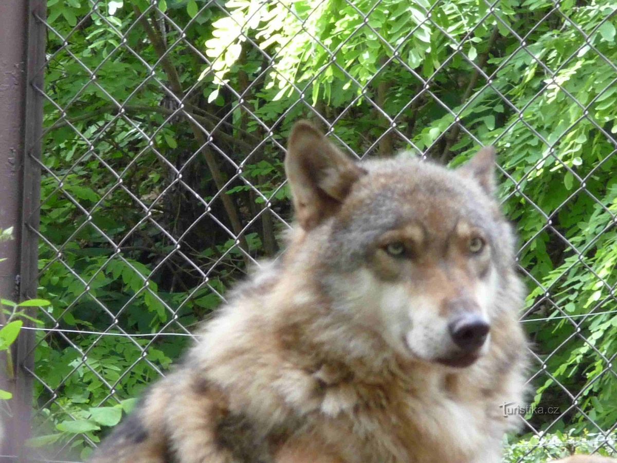 KONTONTY Feuchttuchbox Für Unterwegs - Tragbarer Feuchttuch Spender