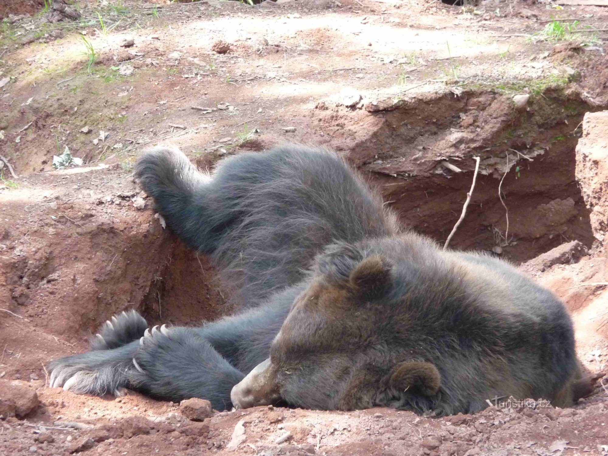 Derrière la prature à Chomutov