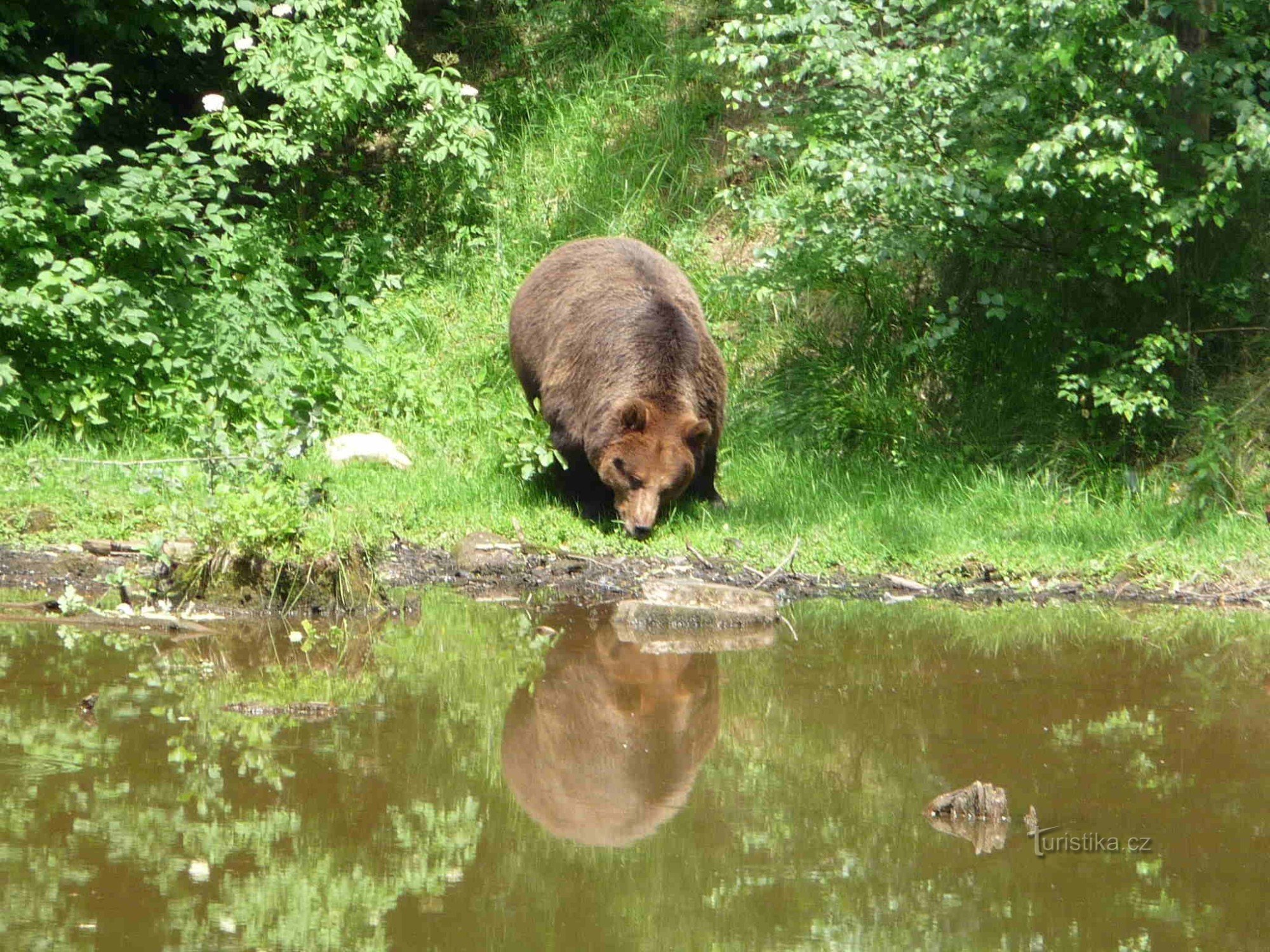 A pratúra mögött Chomutovhoz