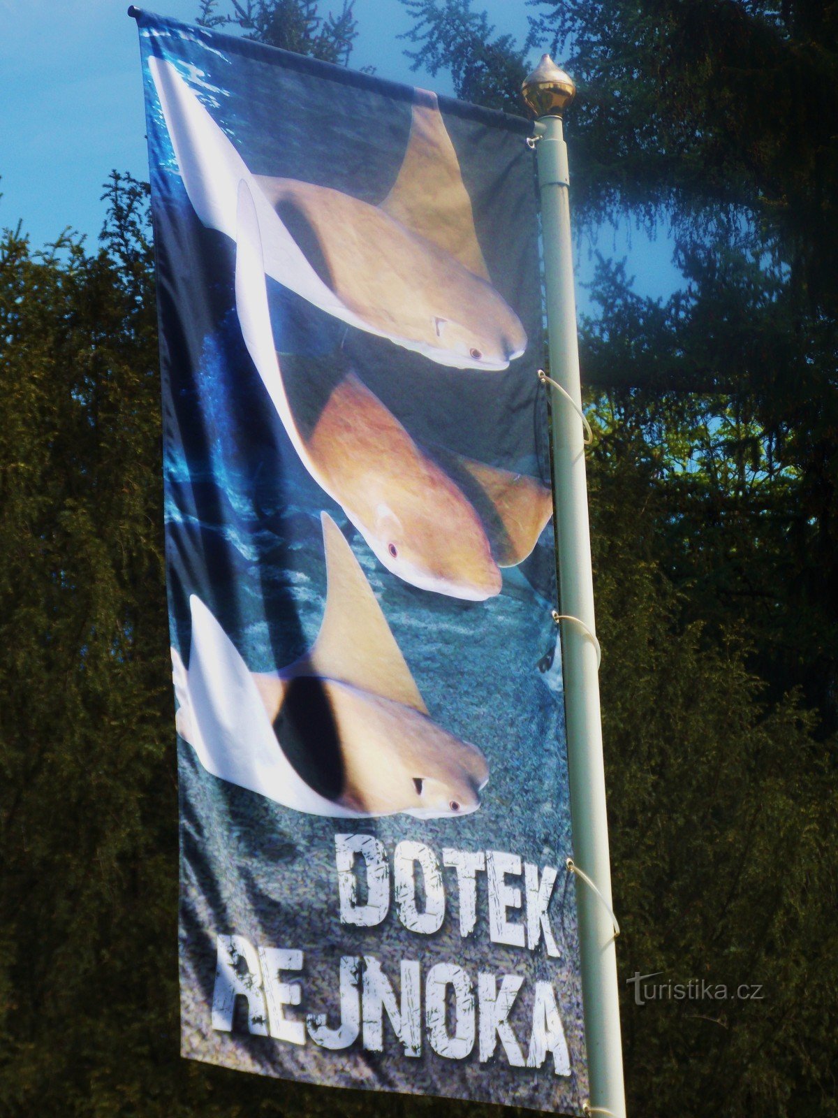 For stingrays to the Zlín ZOO - LEŠNÁ