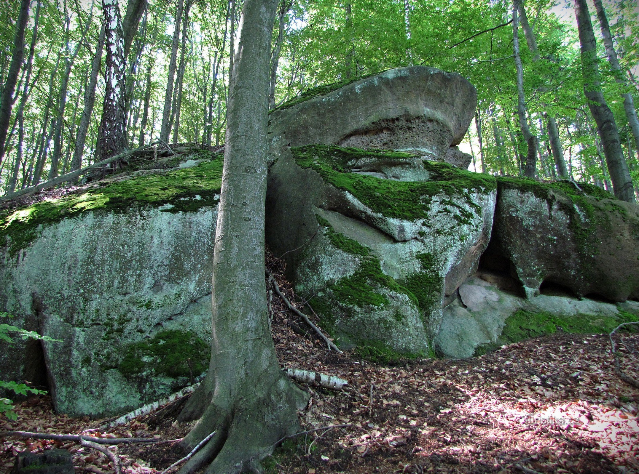 Salaš melletti romantikus sziklák mögött
